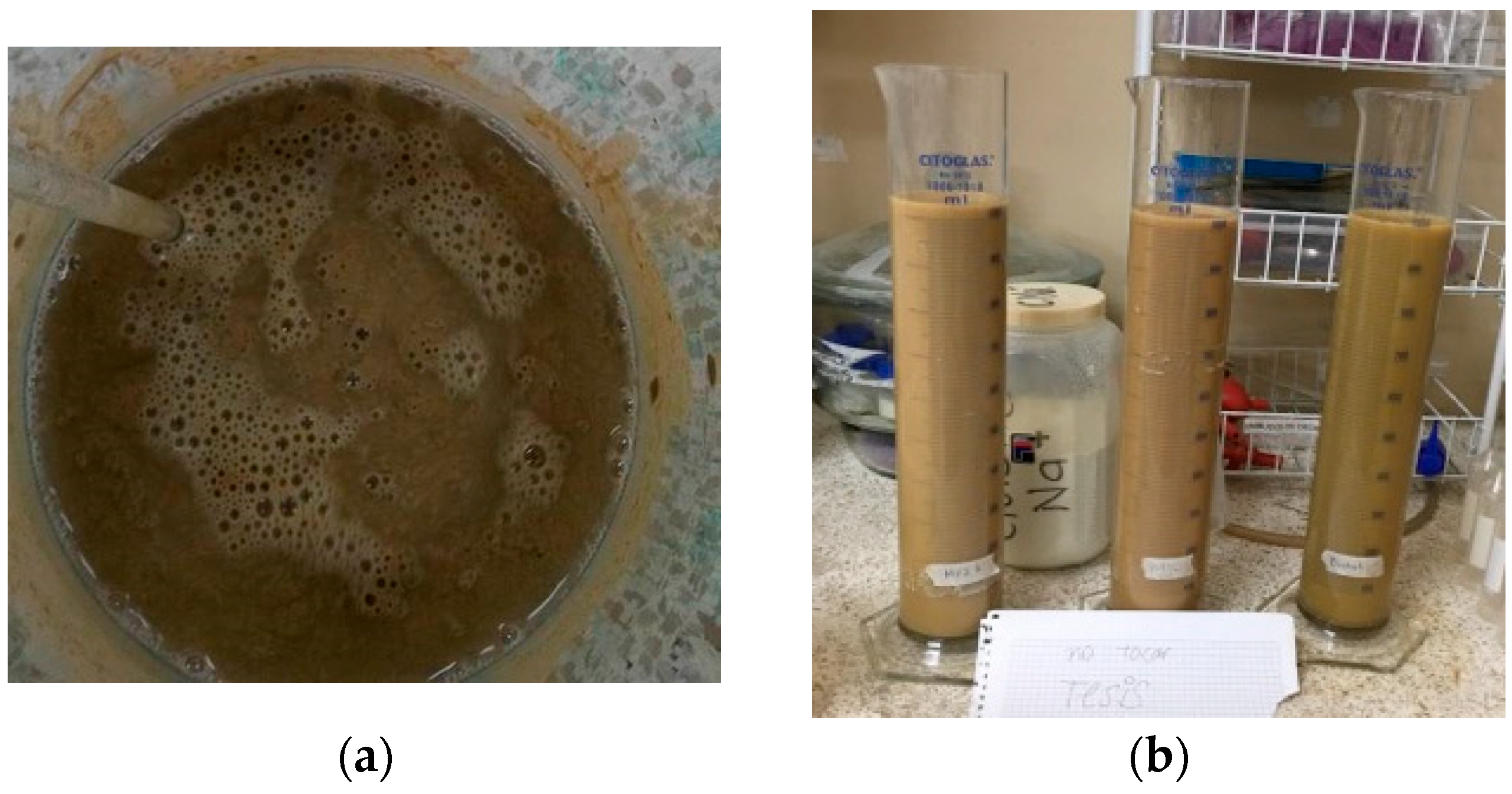 Minerals 13 00272 g005 Minerals 13 00272 g005