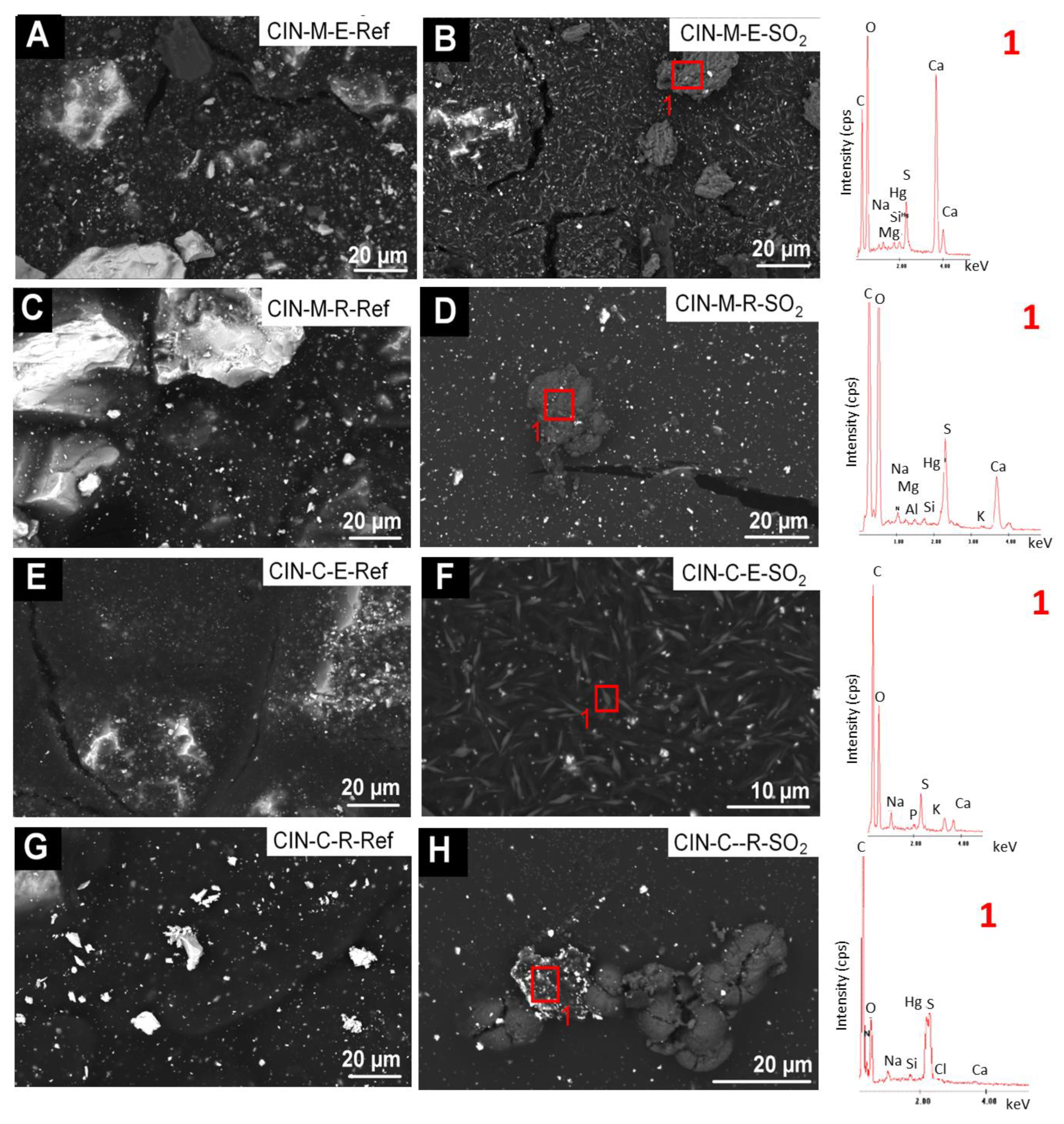 Minerals 13 00289 g010 Minerals 13 00289 g010