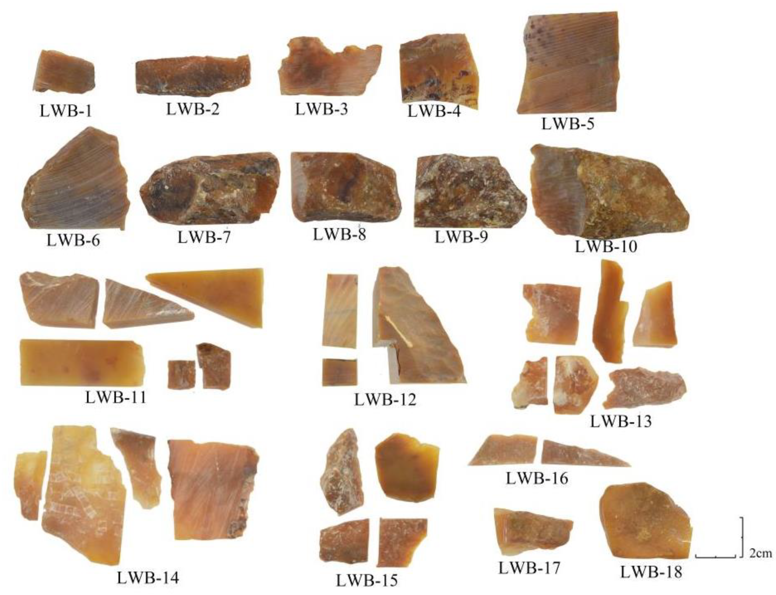 Minerals 13 00291 g001