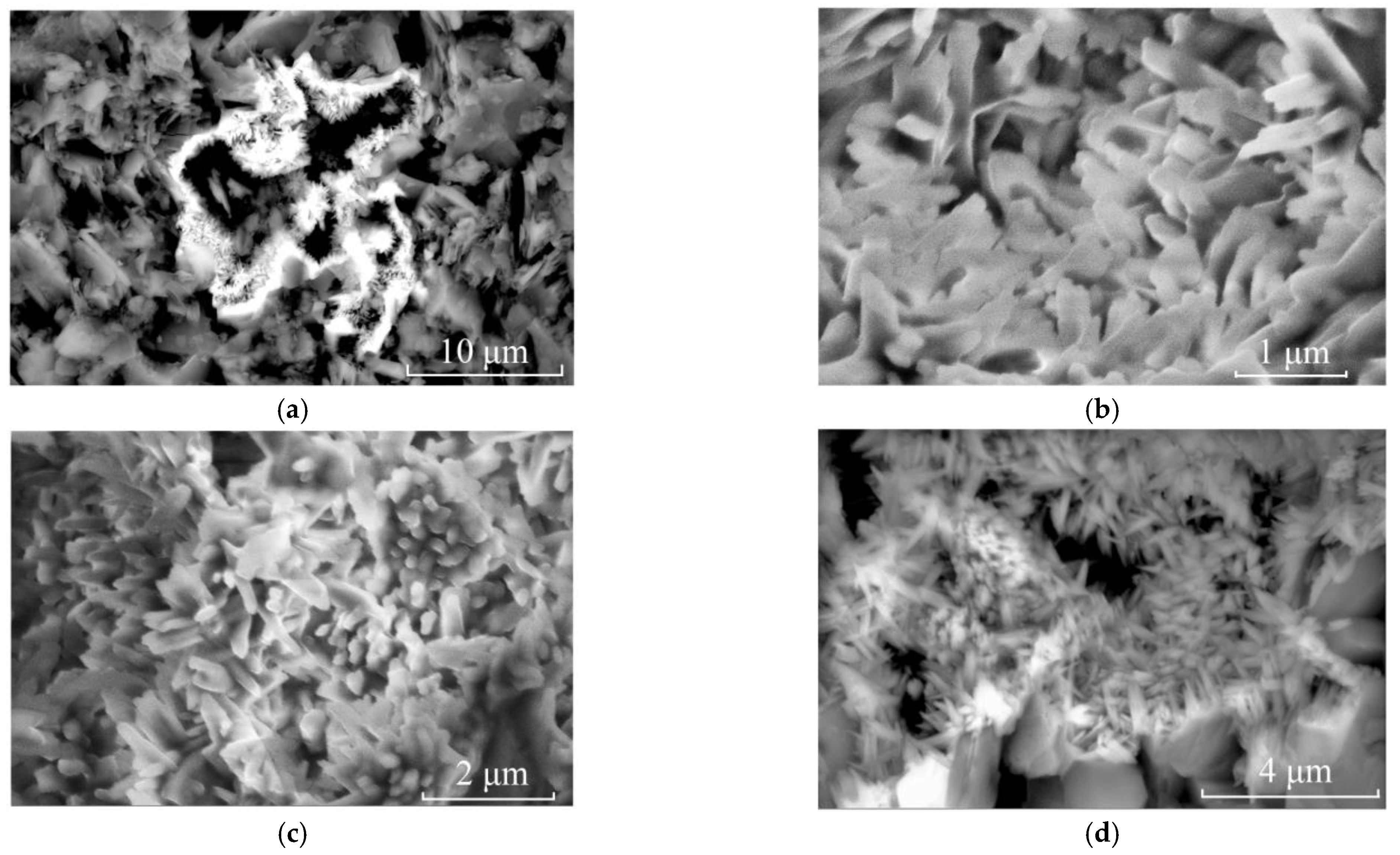 Minerals 13 00291 g005