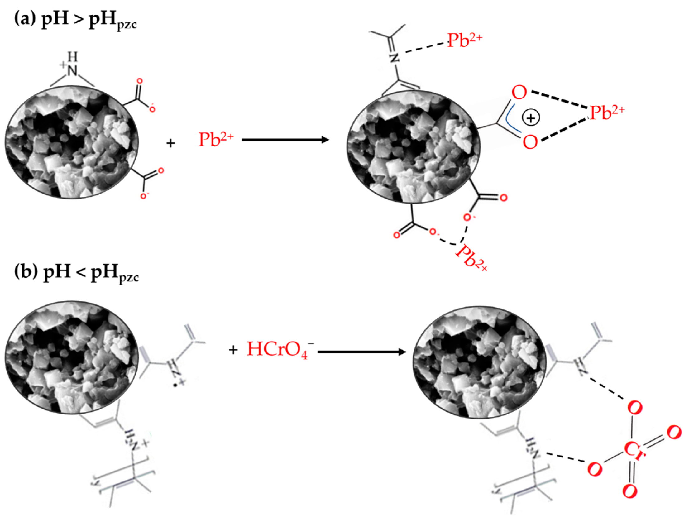 Minerals 13 00299 g011