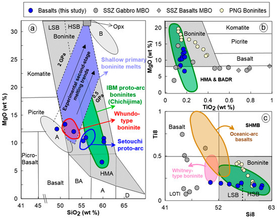 Minerals 13 00311 g013