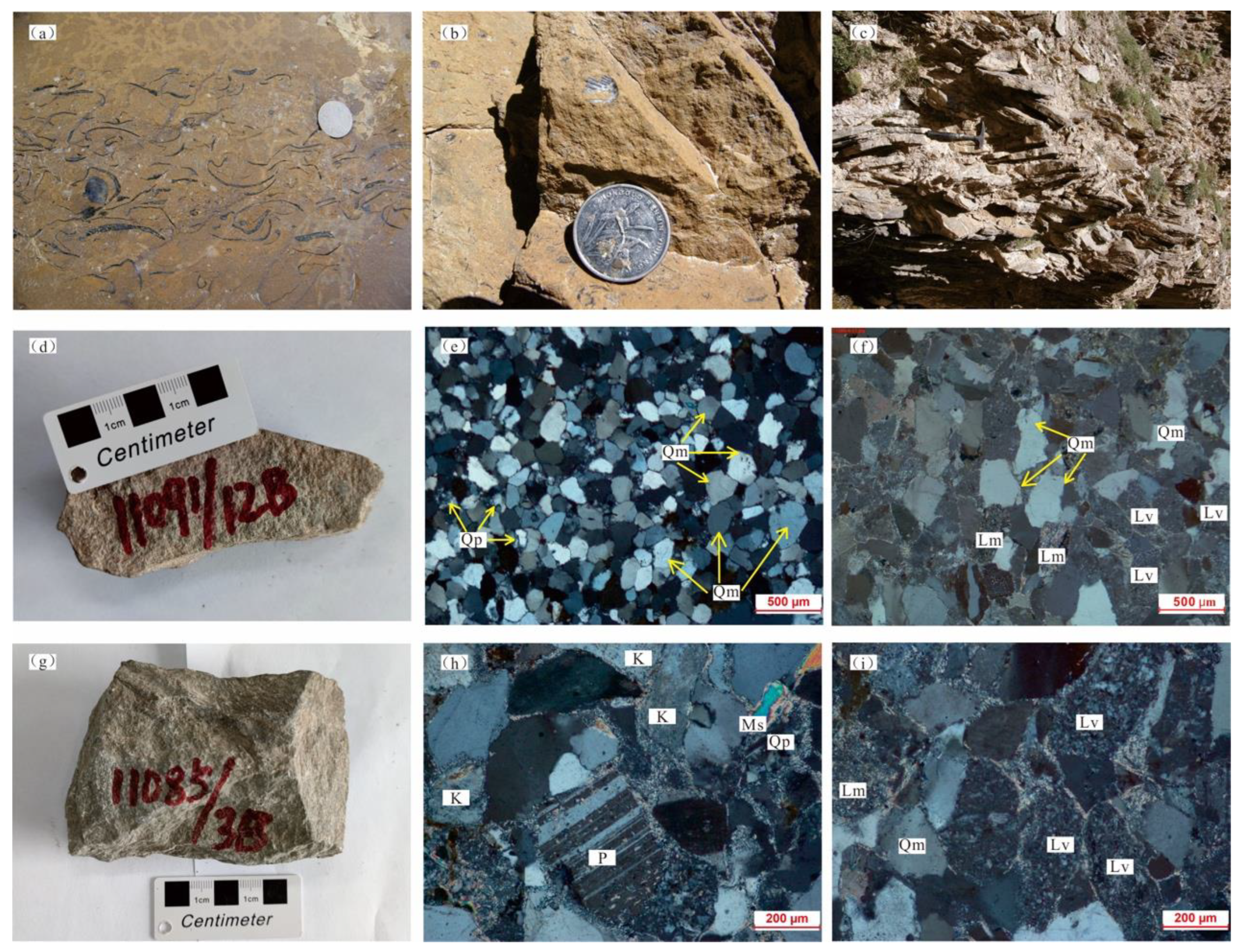 Minerals 13 00312 g003