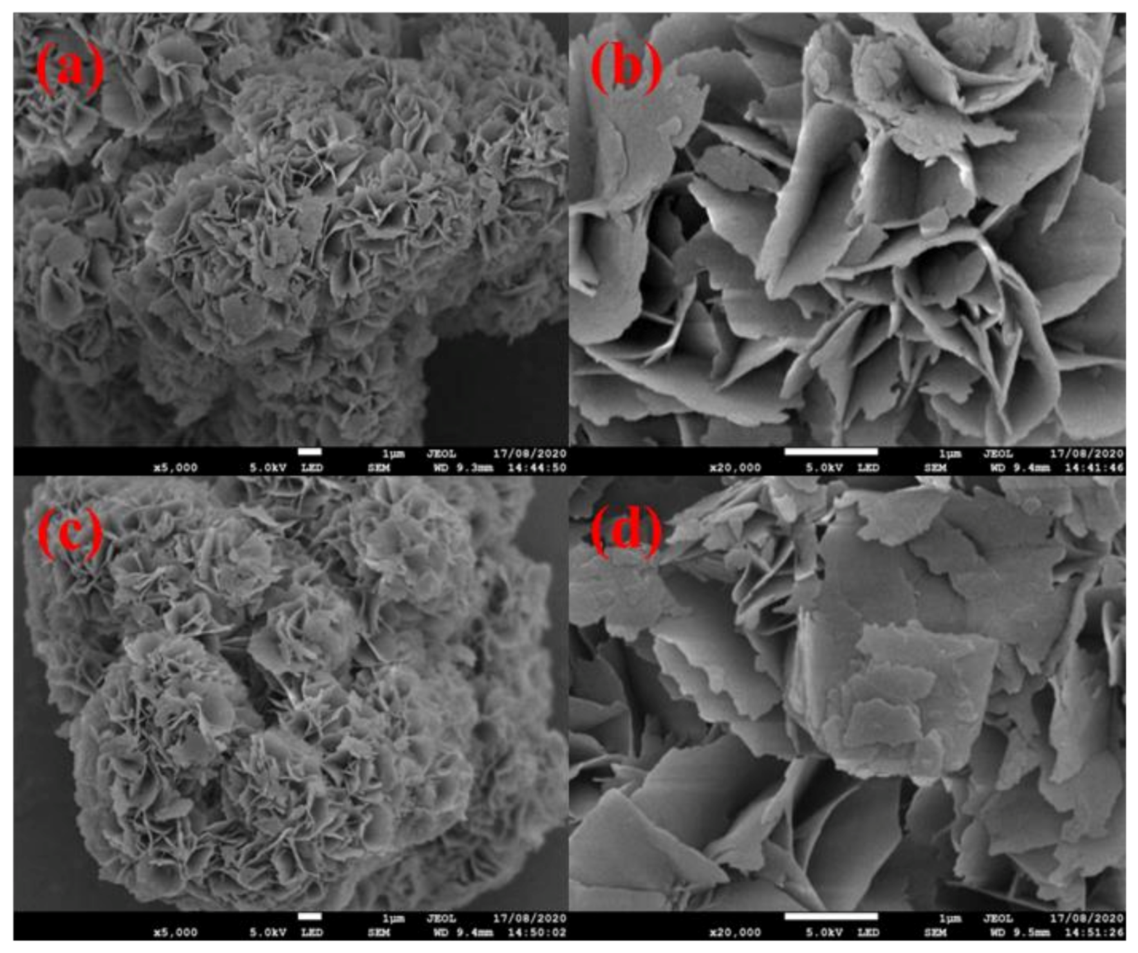 Minerals 13 00318 g008