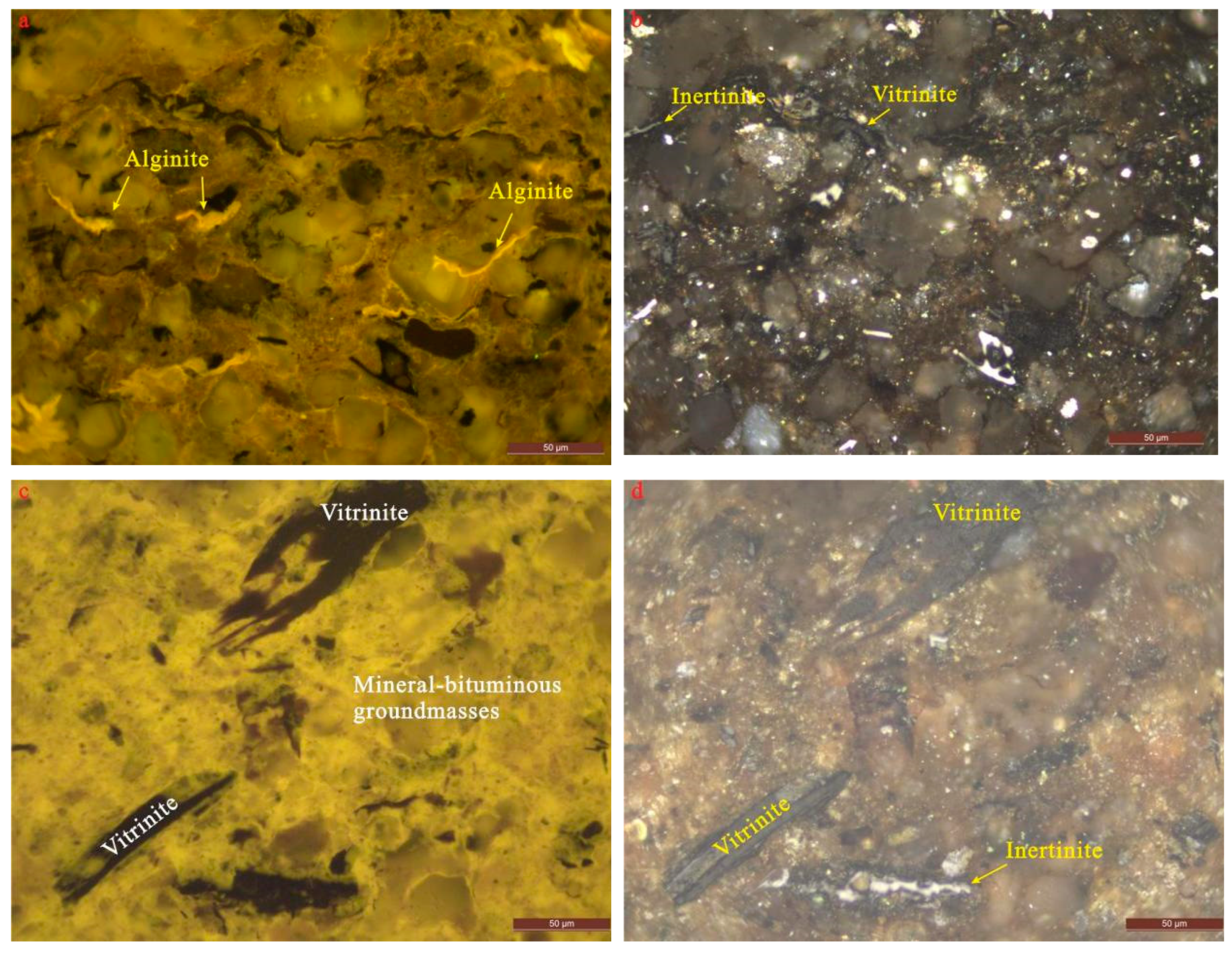 Minerals 13 00332 g008