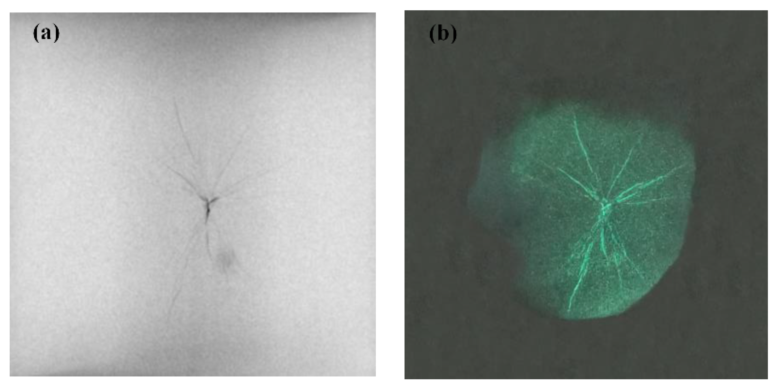 Minerals 13 00337 g008