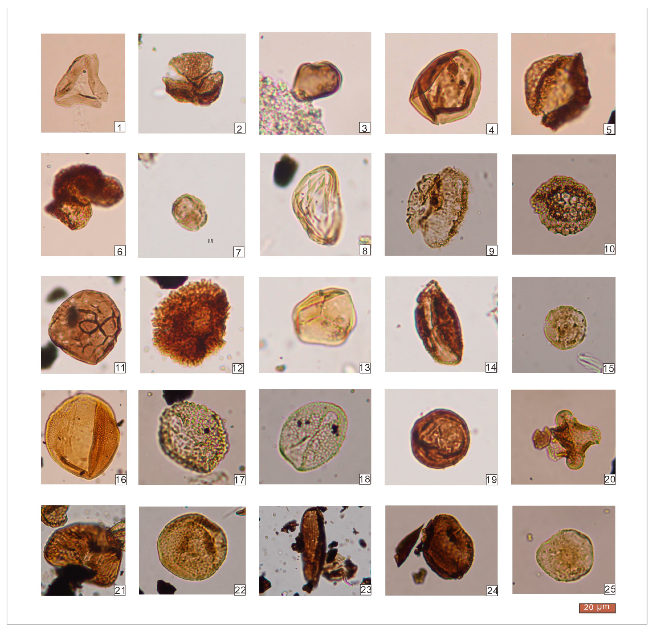 Minerals 13 00338 g004