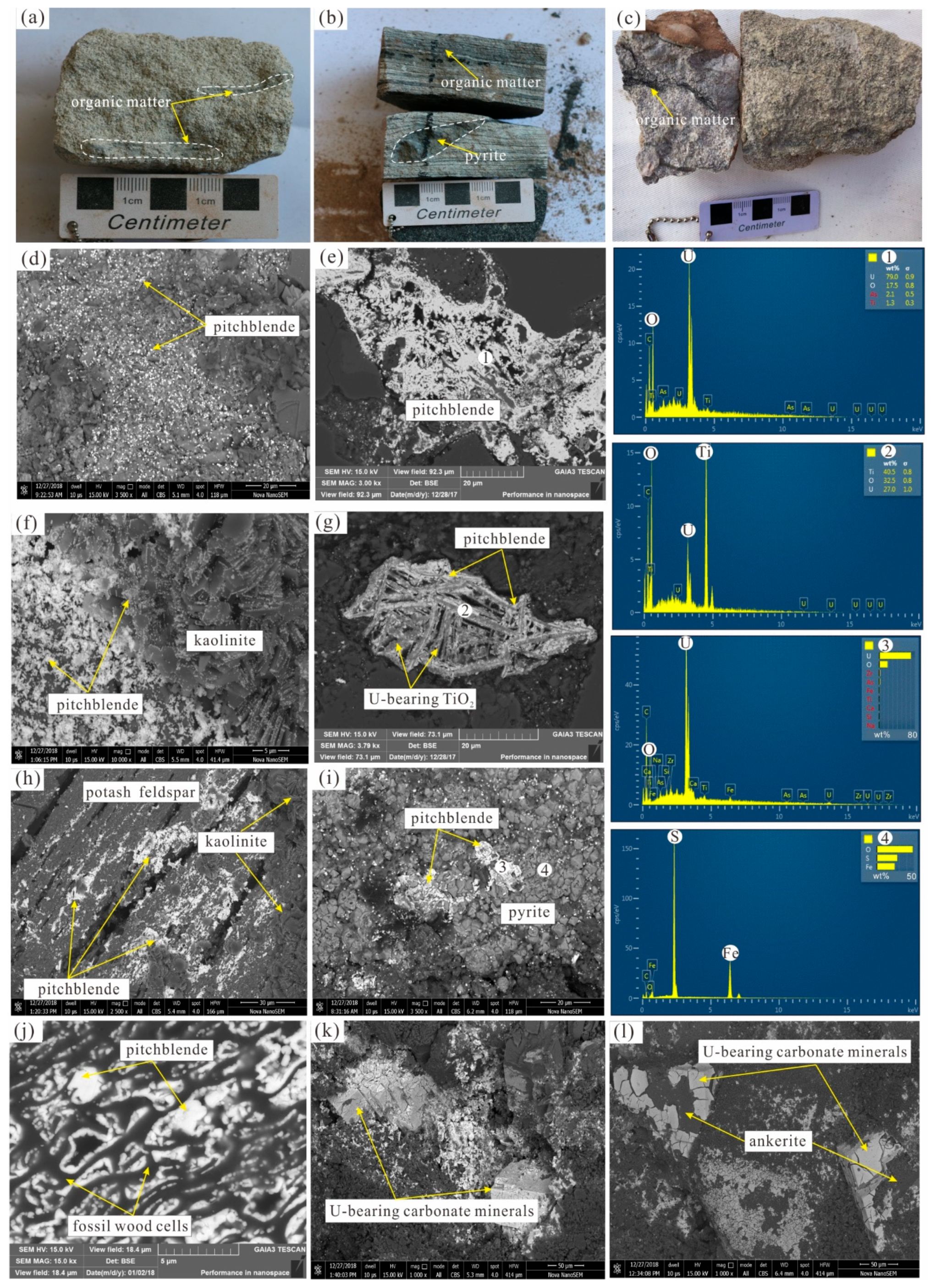 Minerals 13 00339 g003