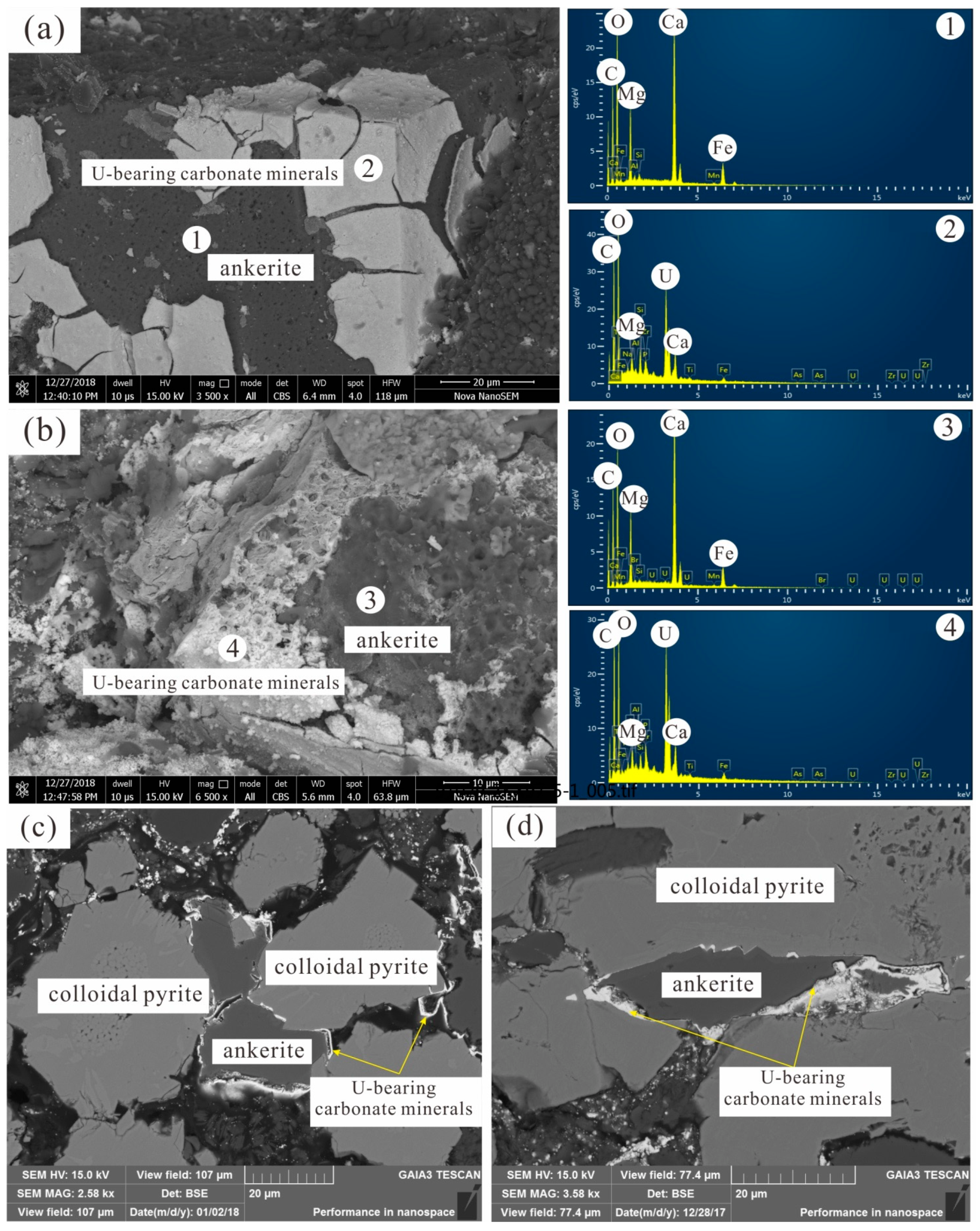 Minerals 13 00339 g004