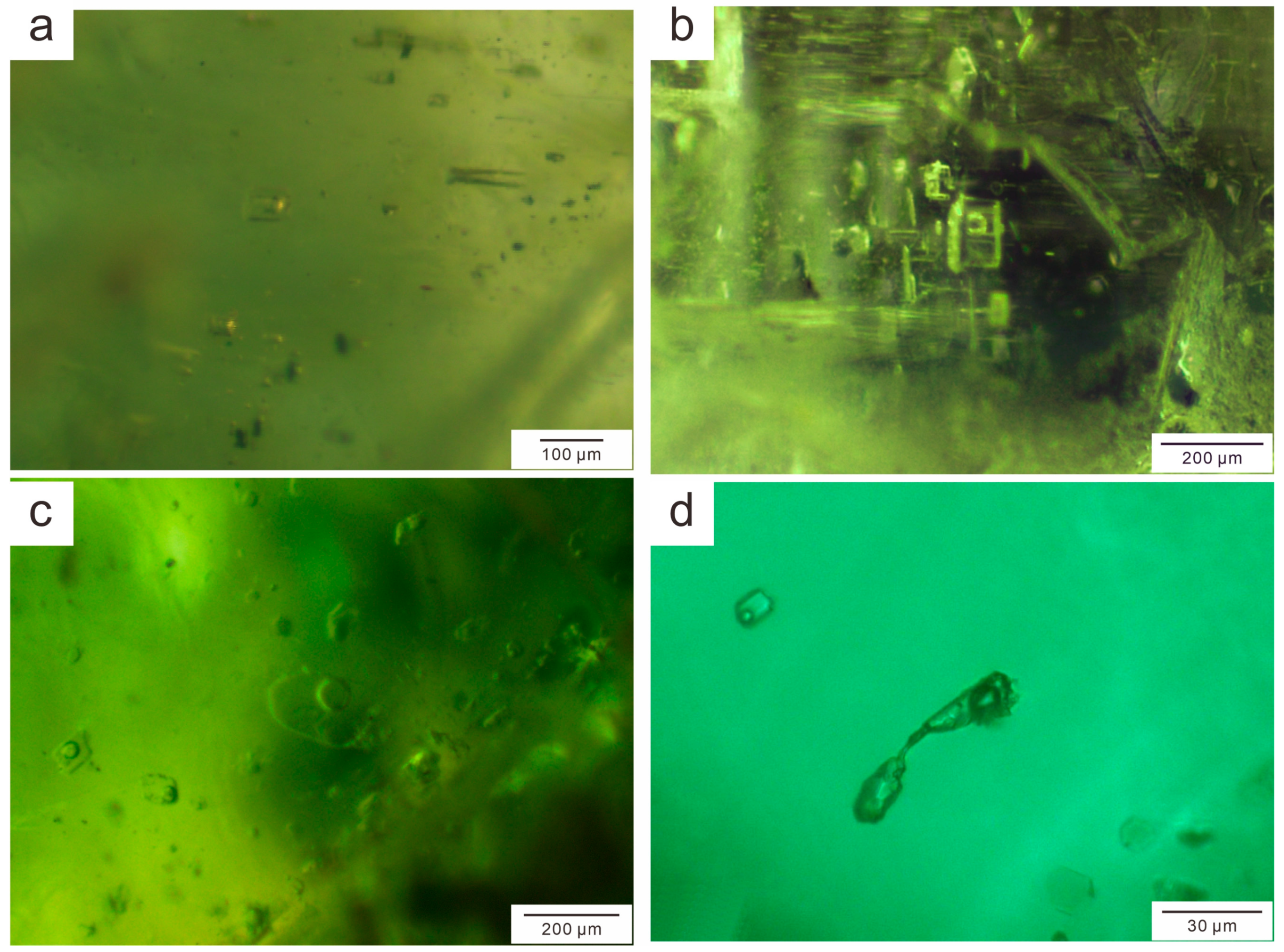 Minerals 13 00341 g006