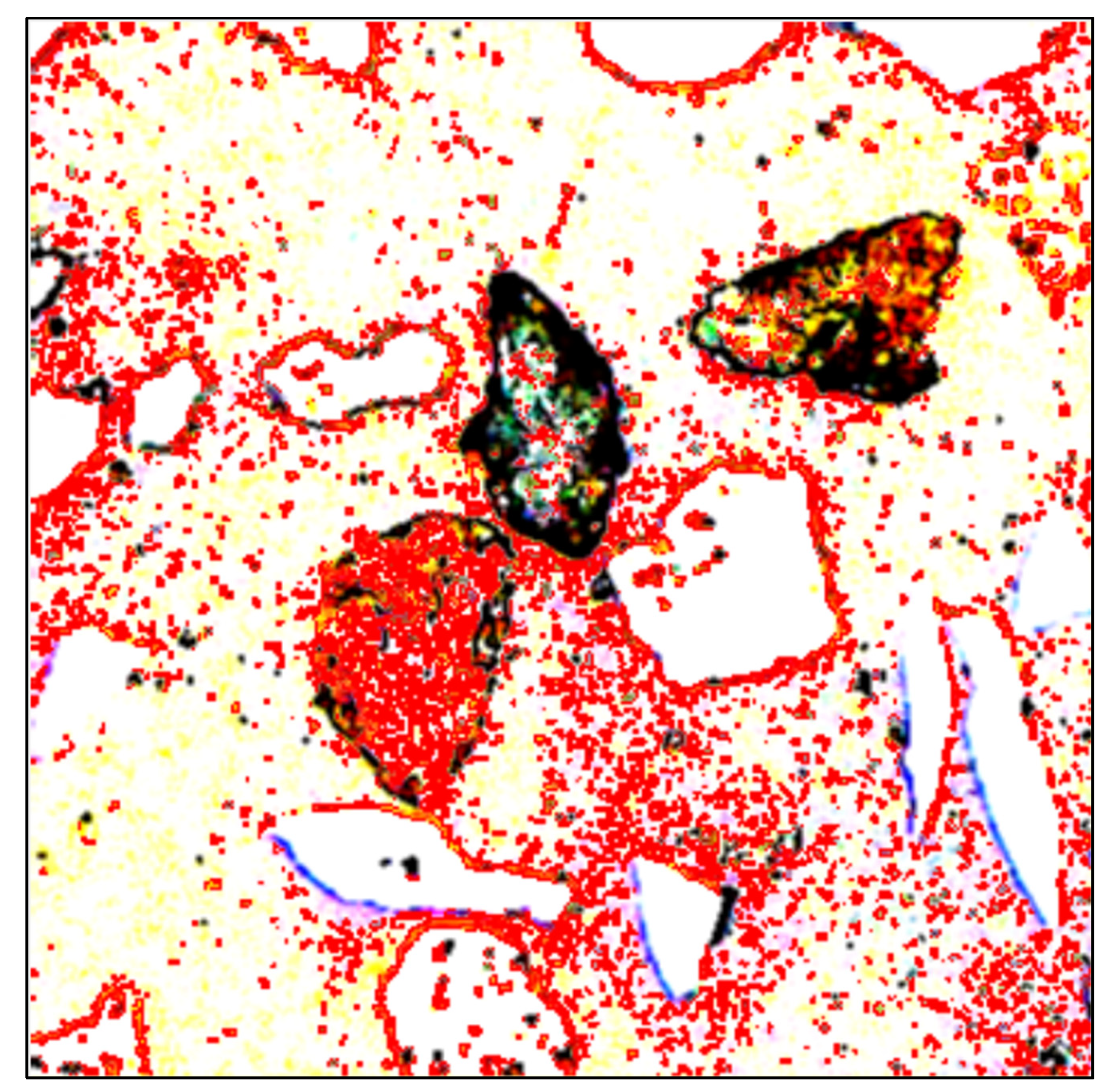 Minerals 13 00350 g008