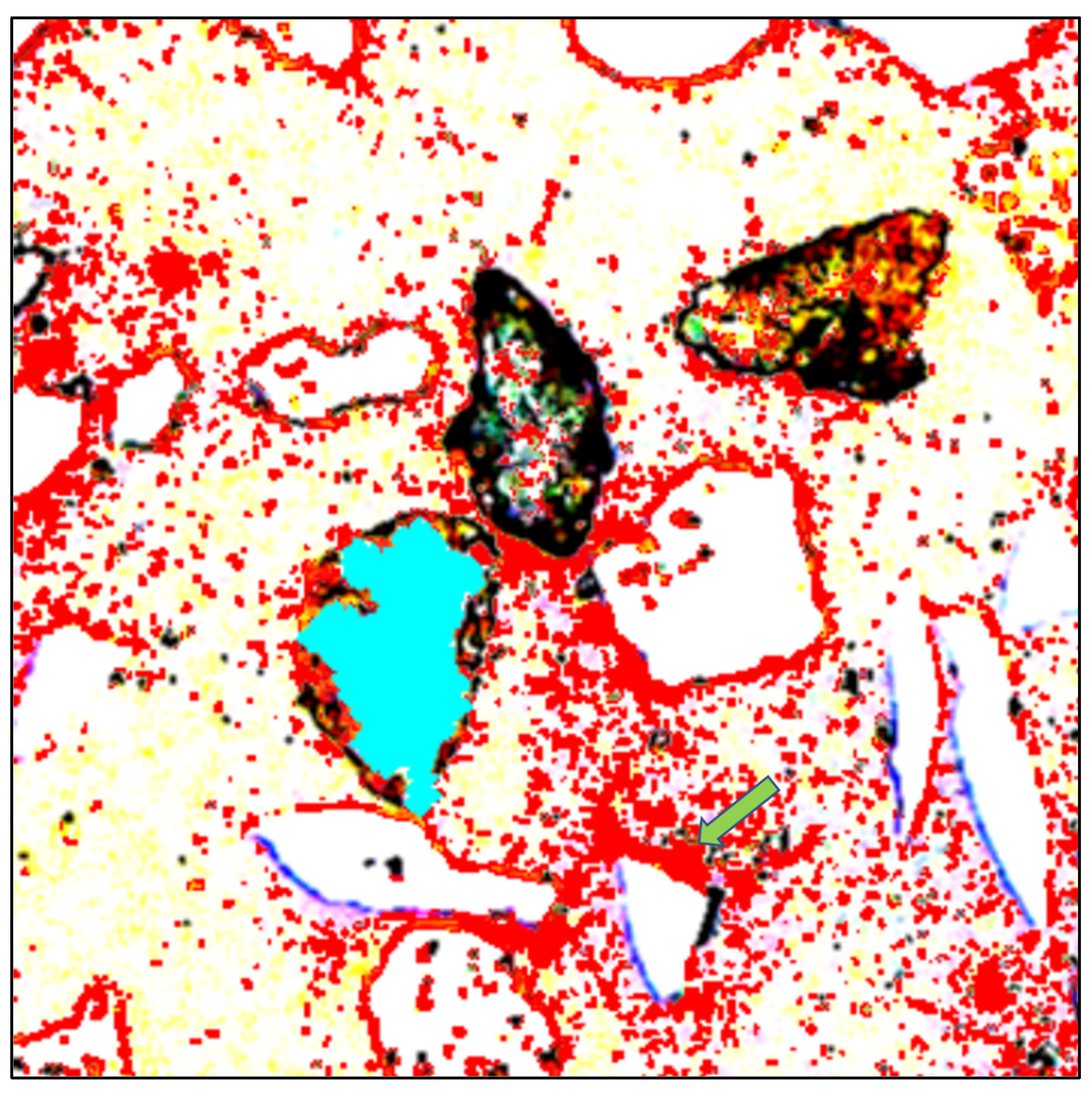 Minerals 13 00350 g010