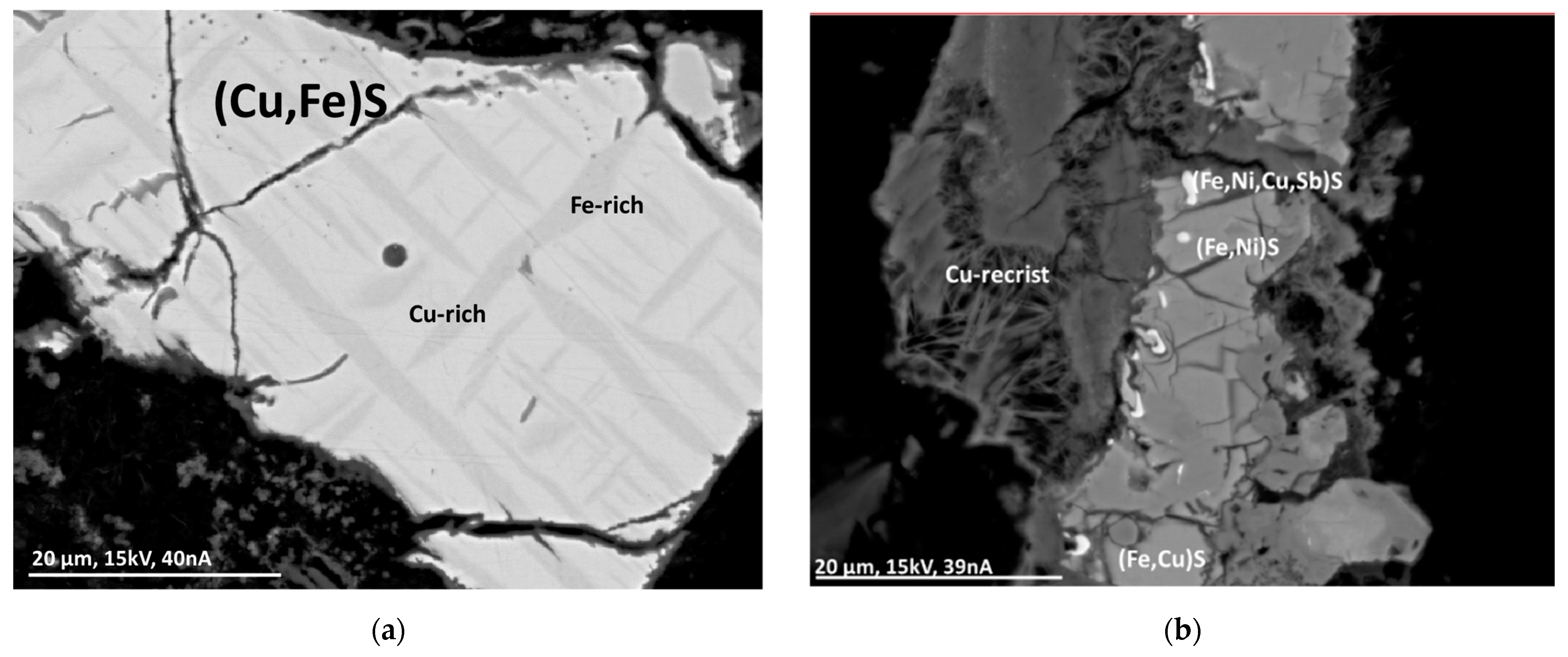 Minerals 13 00358 g001