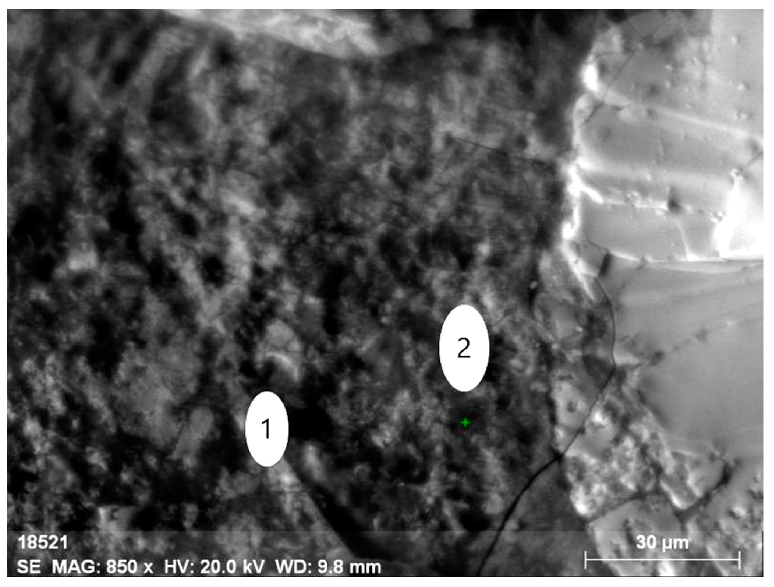 Minerals 13 00366 g010