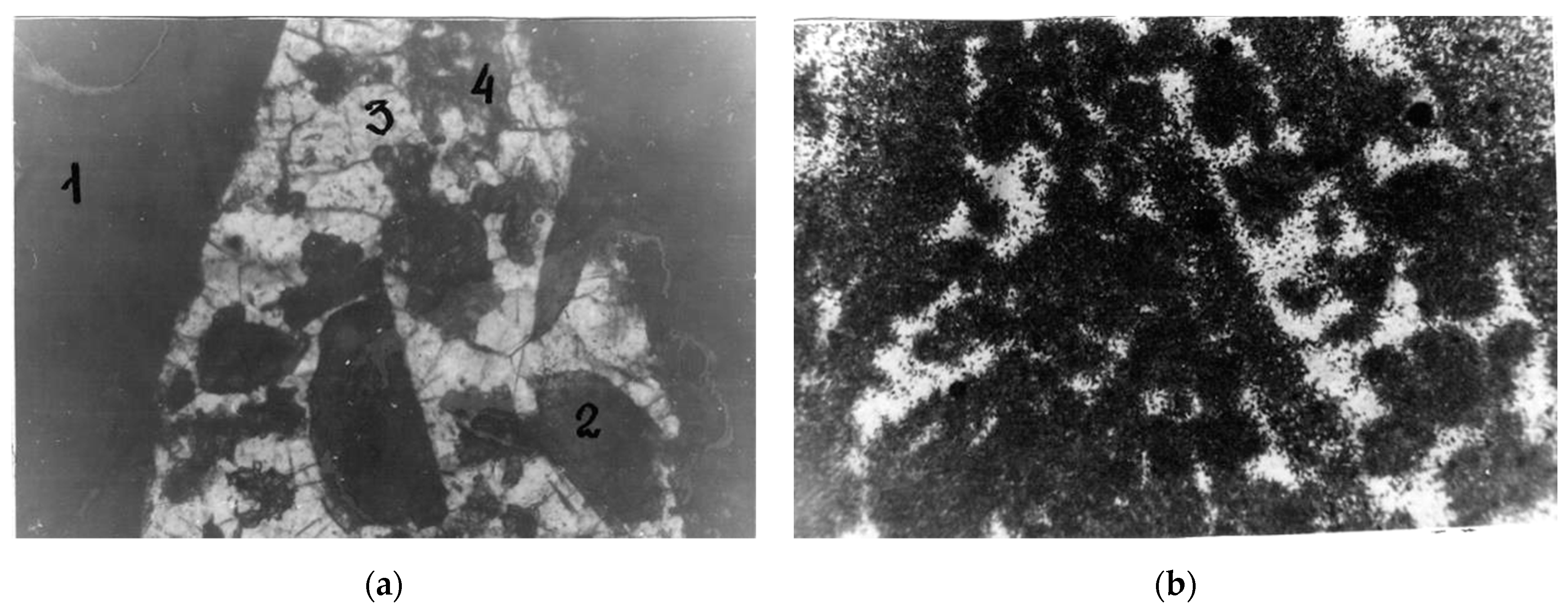 Minerals 13 00366 g015