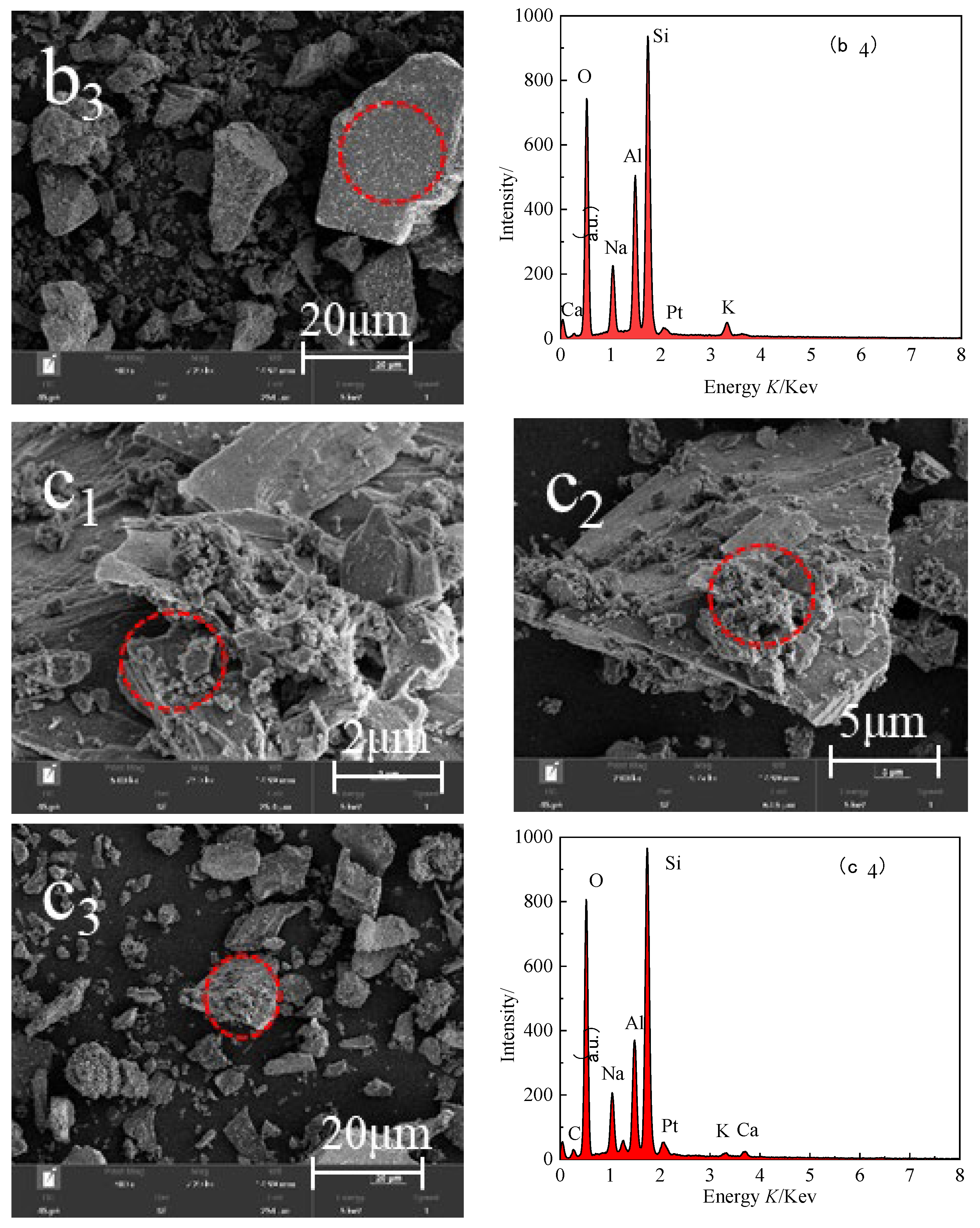 Minerals 13 00367 g009b Minerals 13 00367 g009b