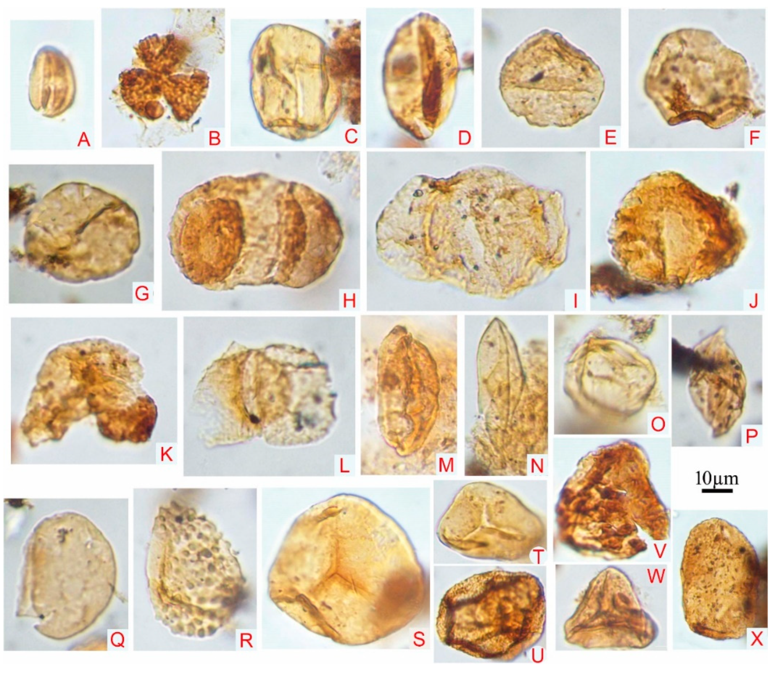 Minerals 13 00374 g003