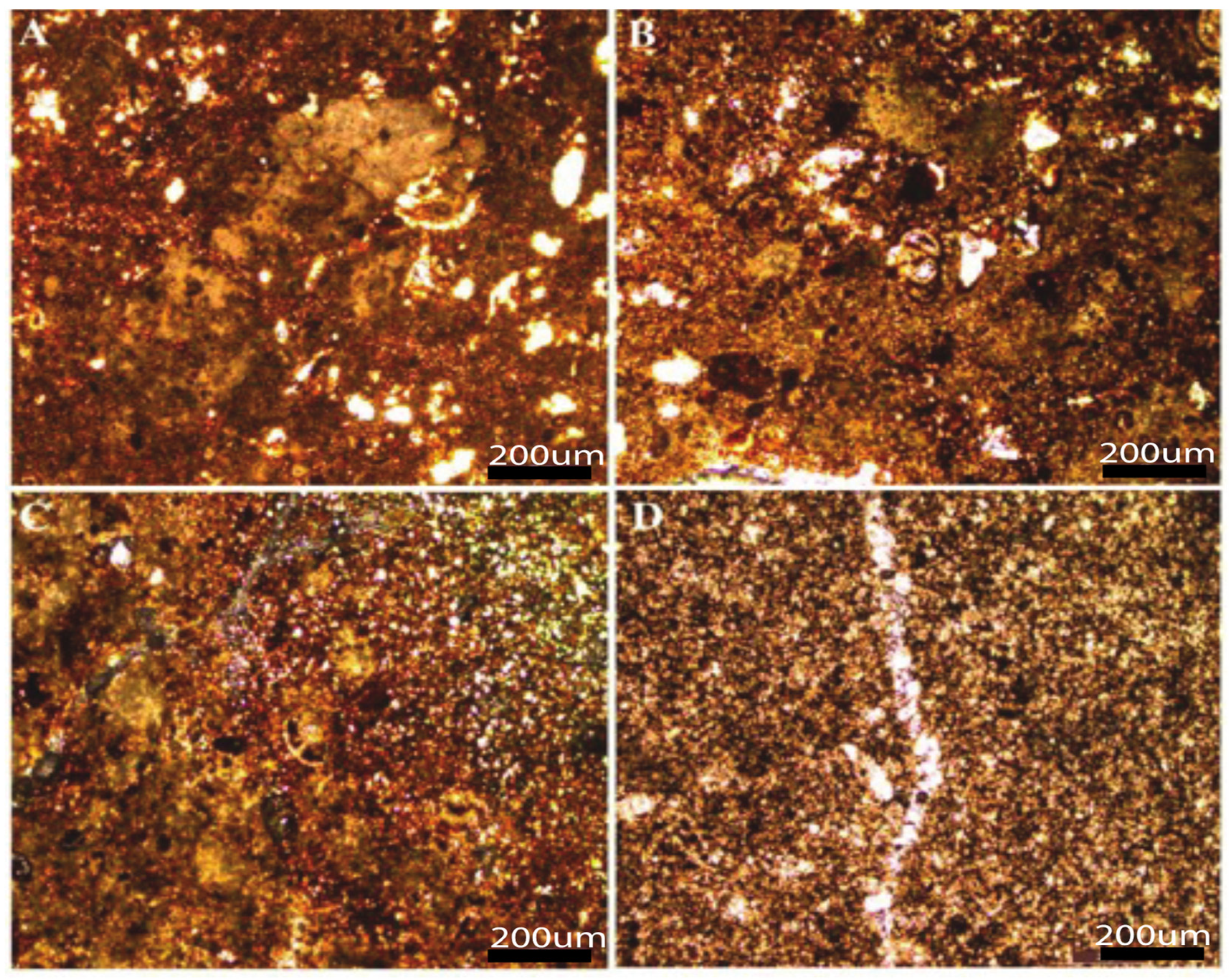 Minerals 13 00377 g004