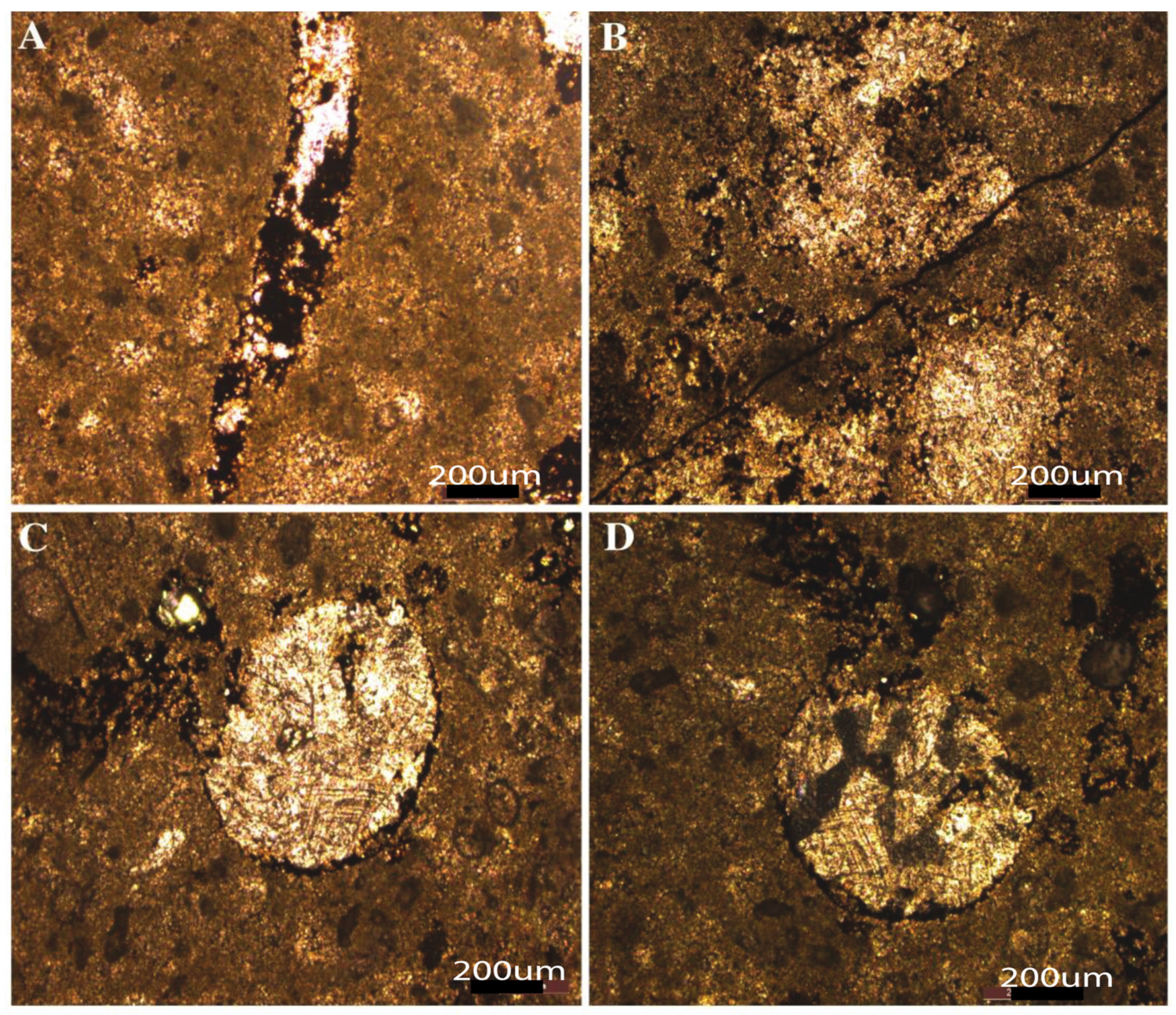 Minerals 13 00377 g006