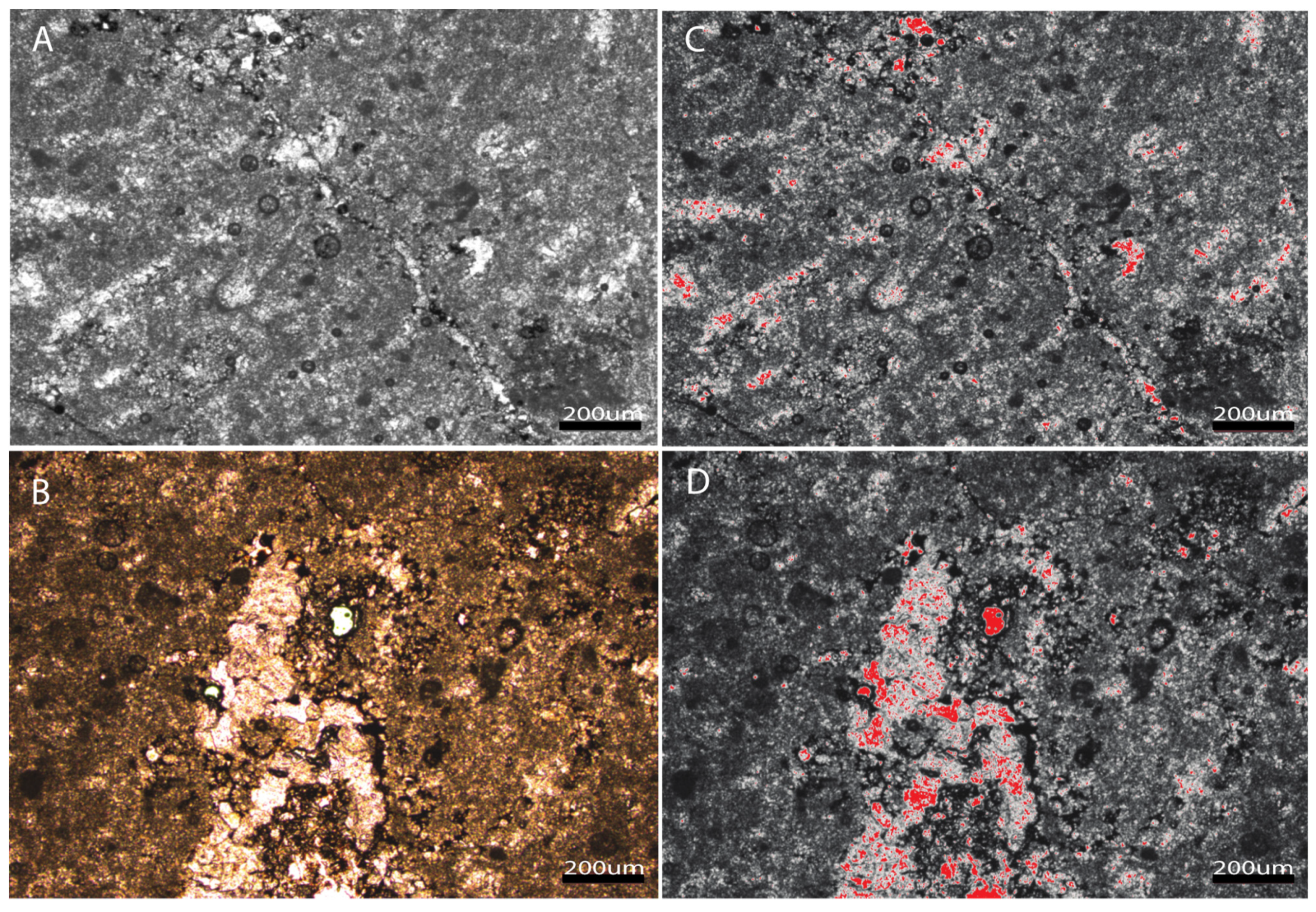 Minerals 13 00377 g009