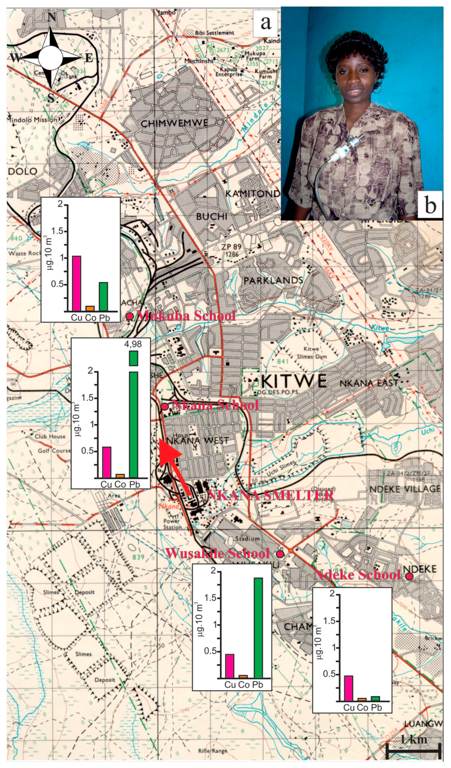 Minerals 13 00384 g005