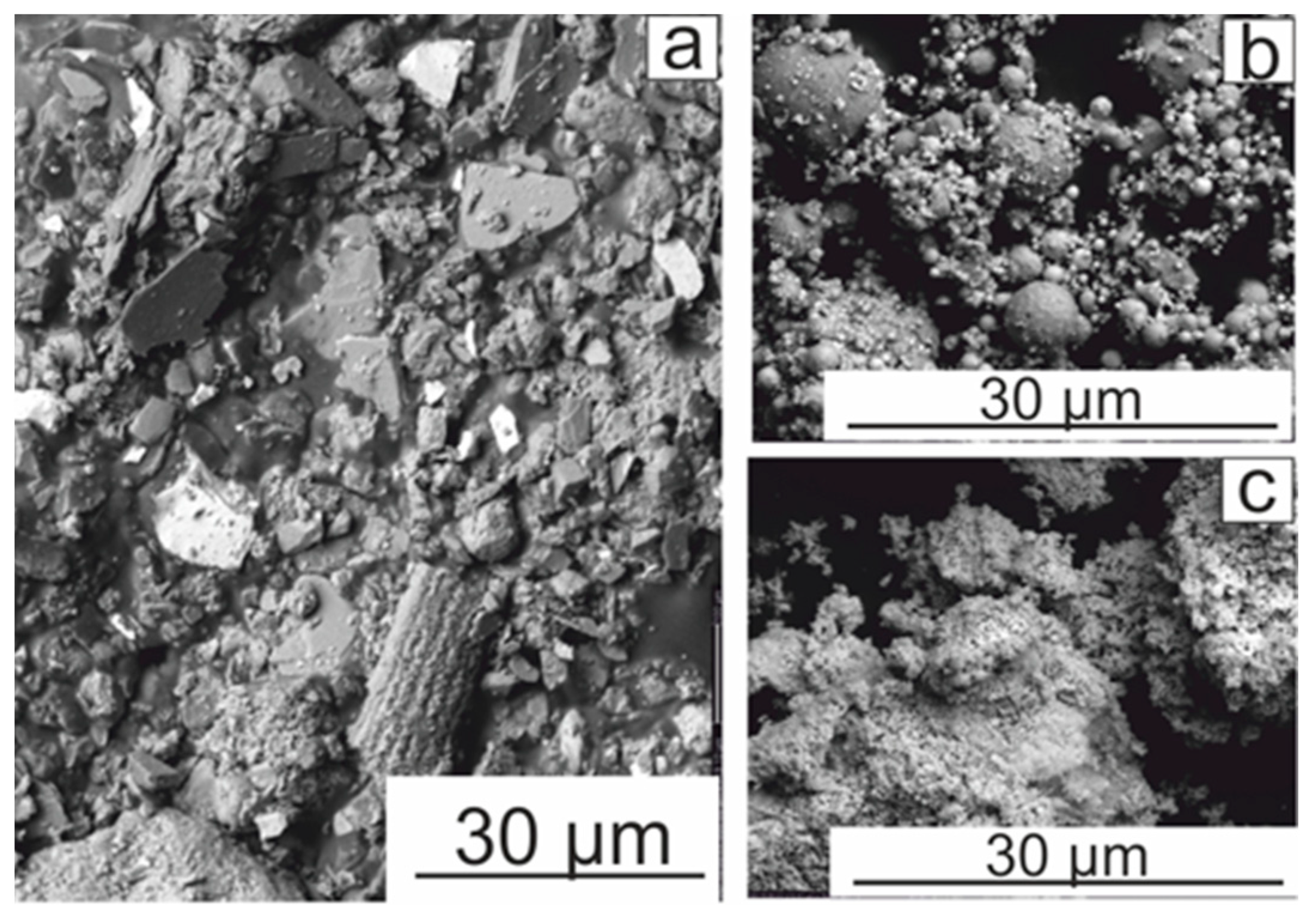 Minerals 13 00384 g010
