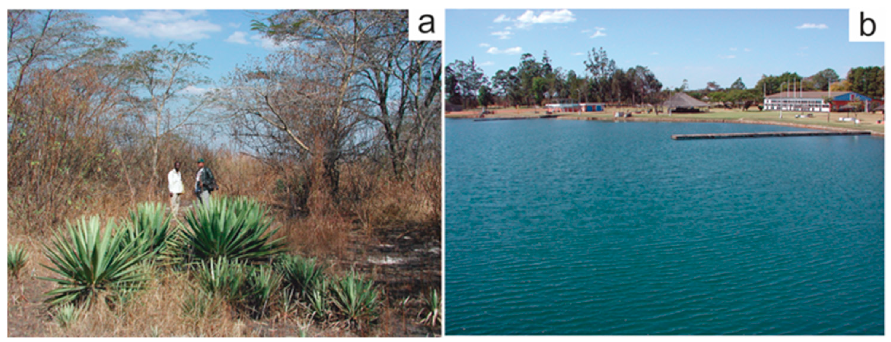 Minerals 13 00384 g014