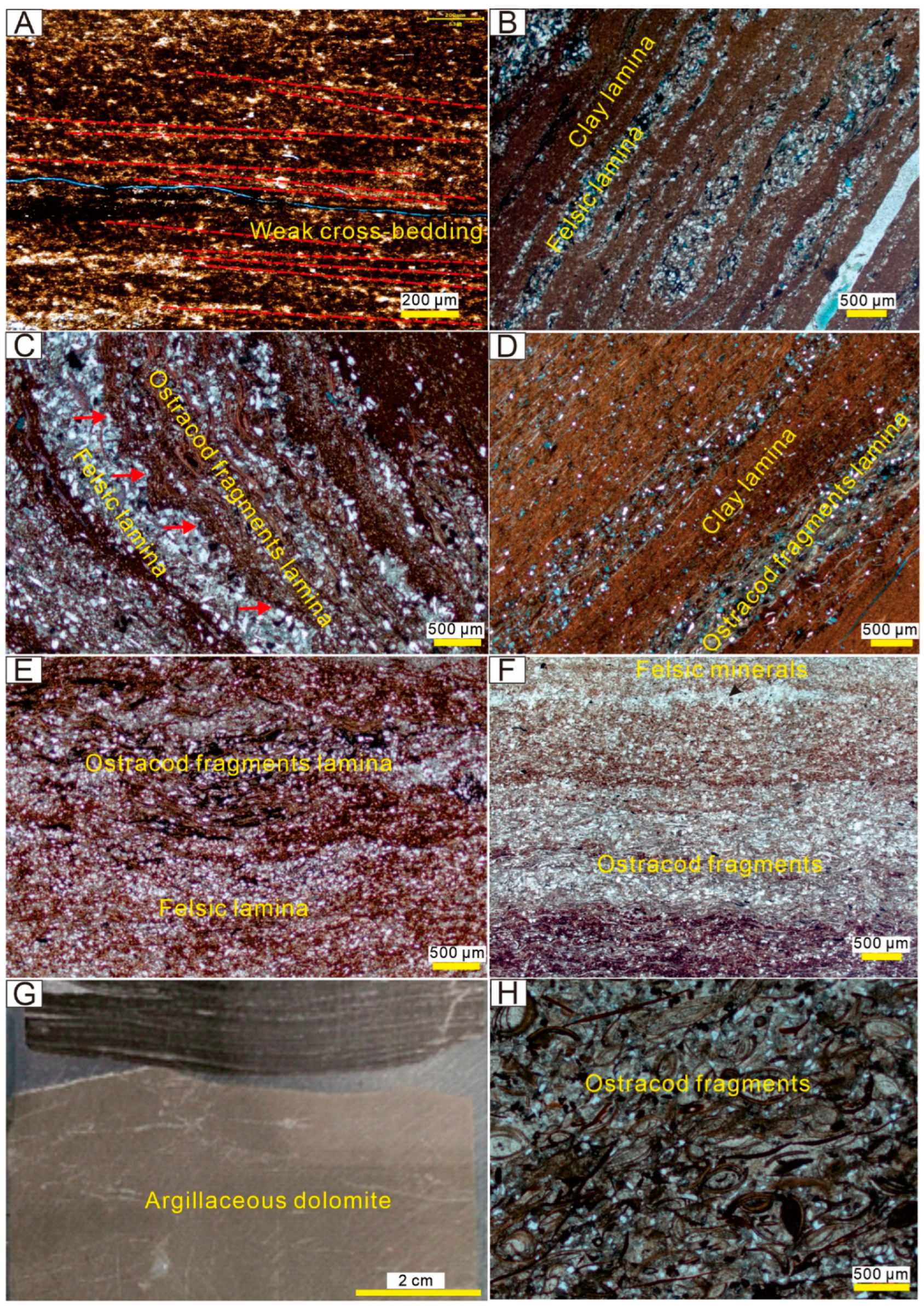 Minerals 13 00385 g006