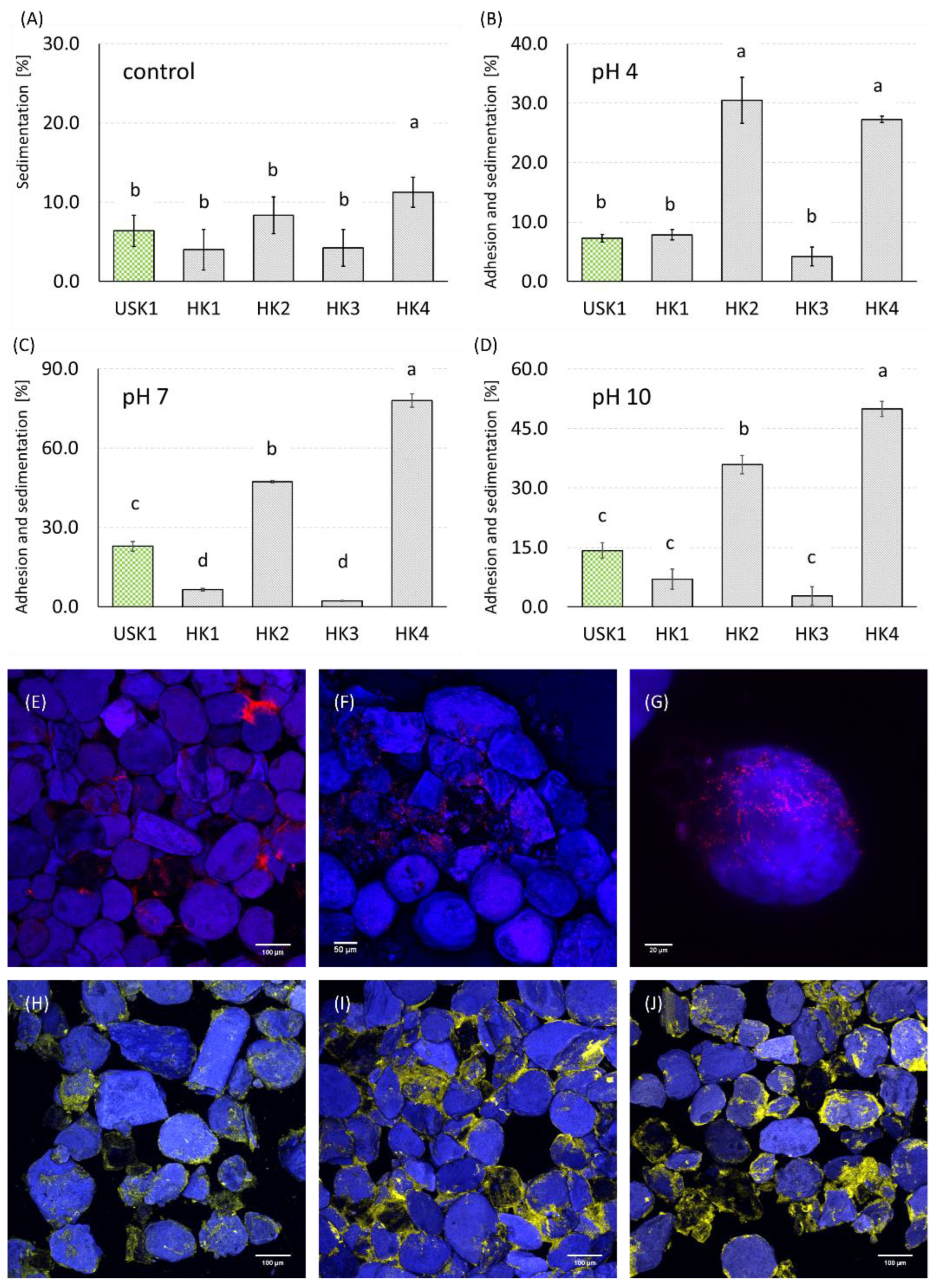Minerals 13 00388 g005 Minerals 13 00388 g005