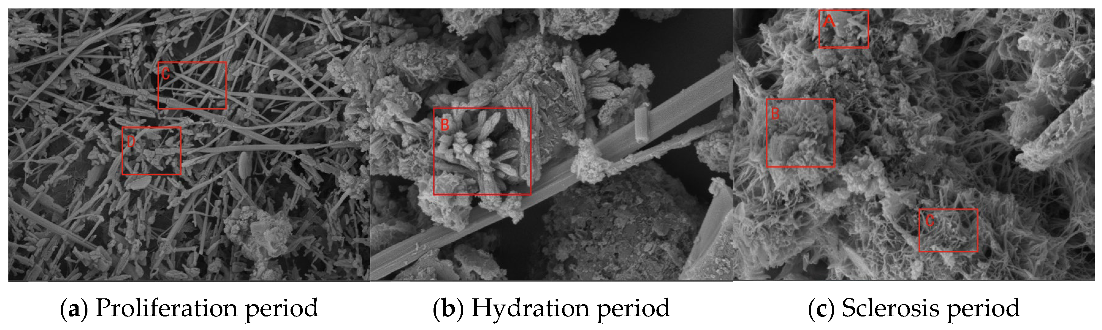 Minerals 13 00389 g011