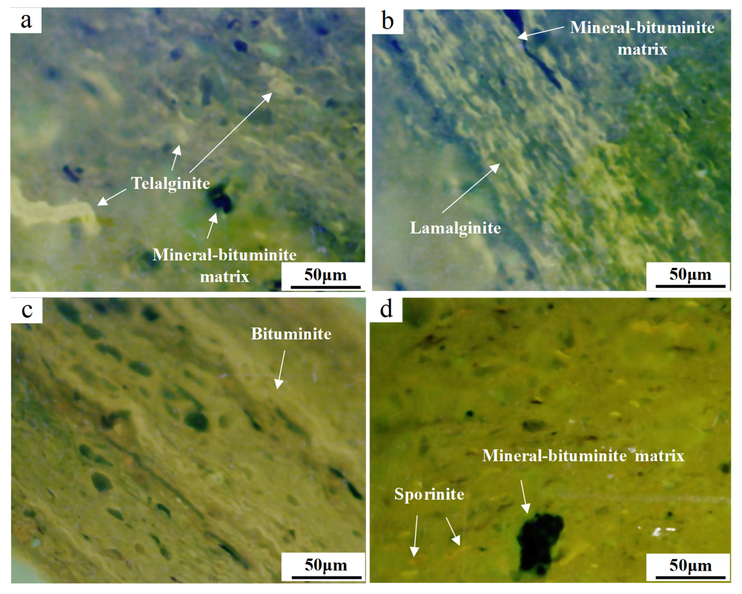 Minerals 13 00390 g007 Minerals 13 00390 g007