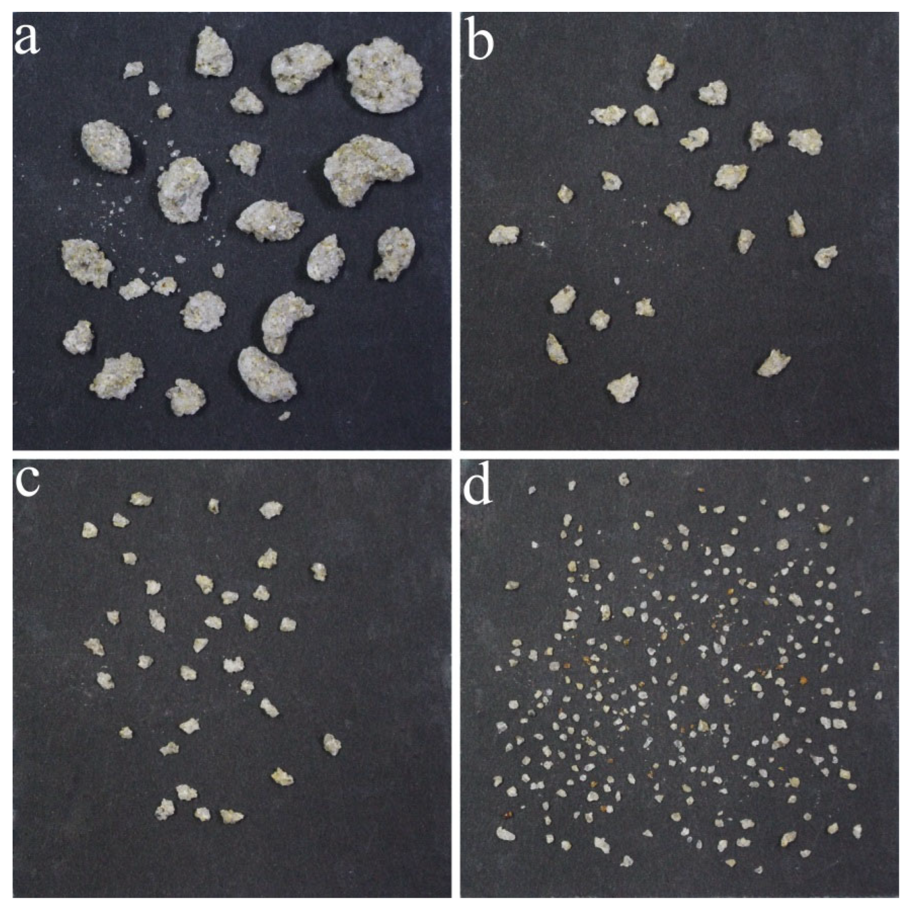 Minerals 13 00392 g004