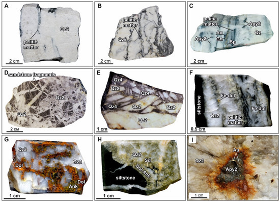 Minerals 13 00394 g006