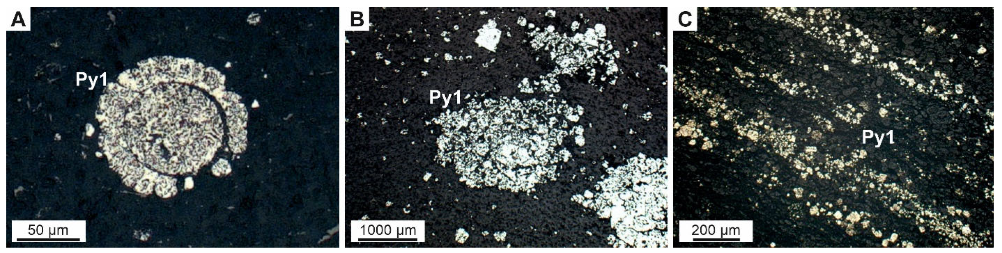 Minerals 13 00394 g008
