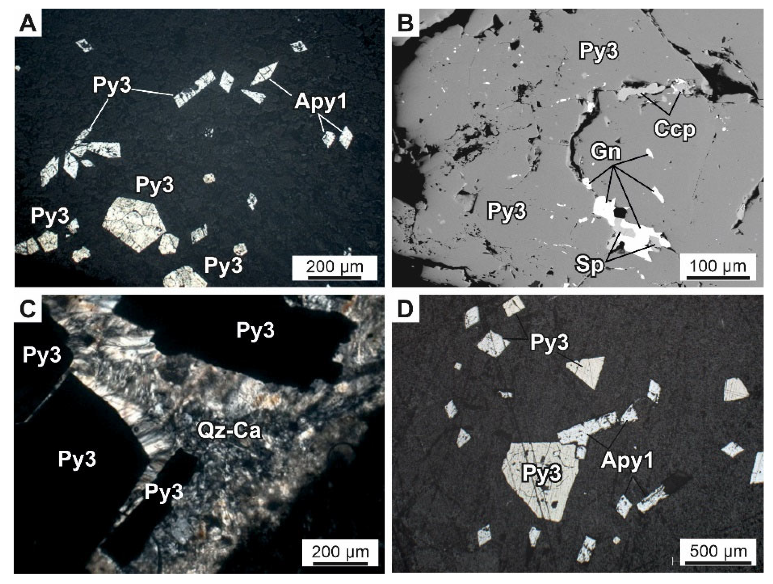 Minerals 13 00394 g010