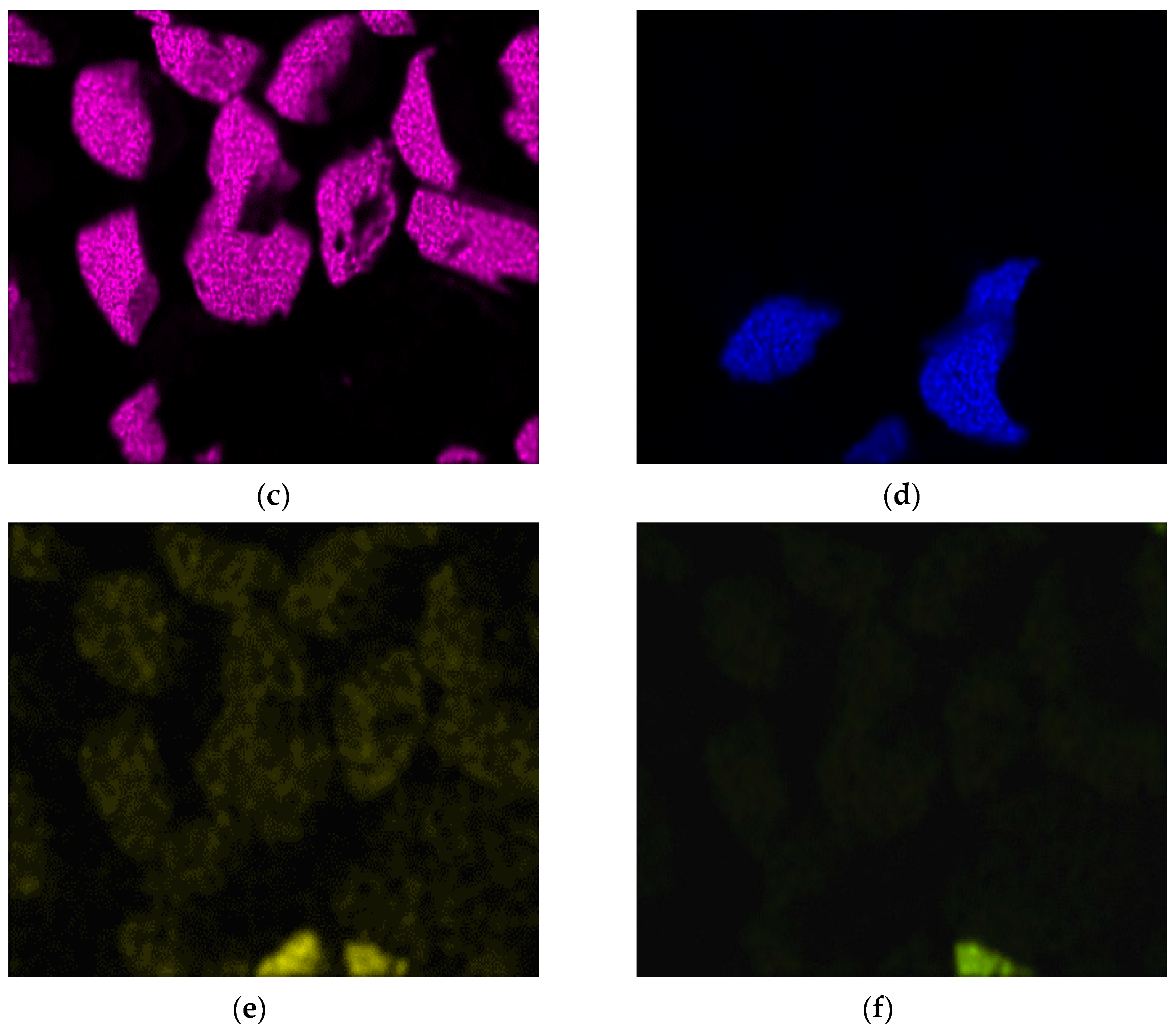 Minerals 13 00397 g002b