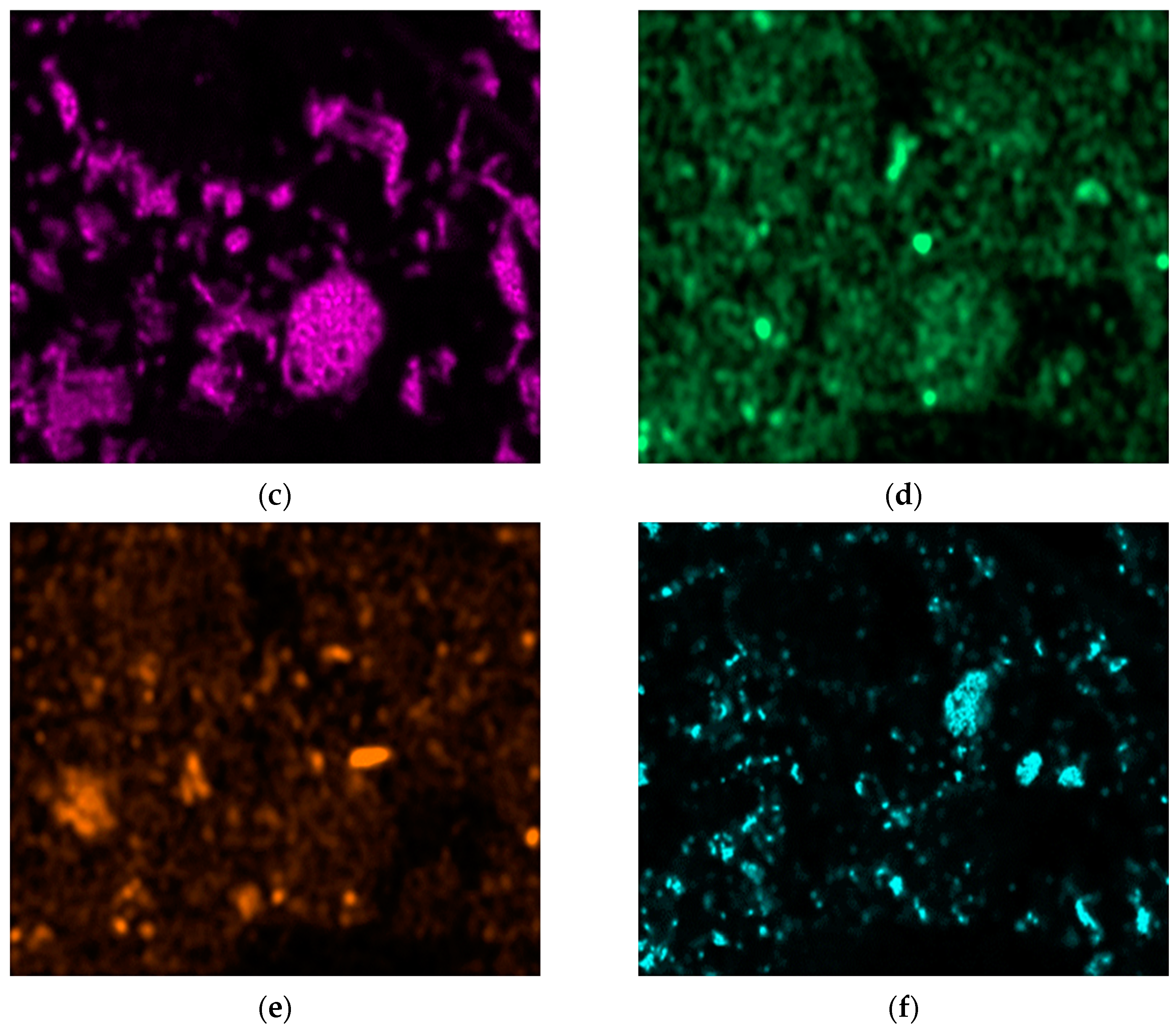 Minerals 13 00397 g004b