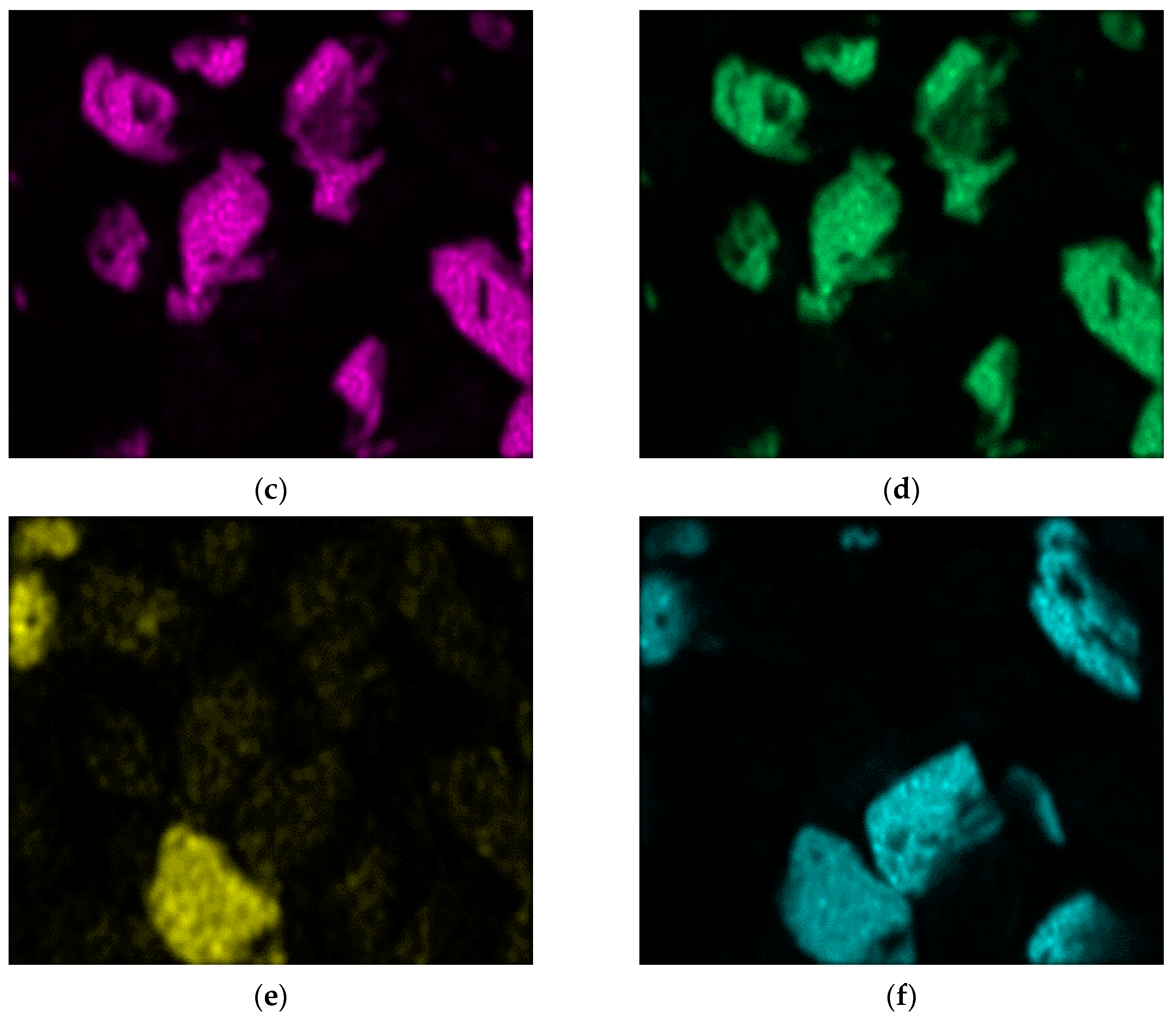 Minerals 13 00397 g008b