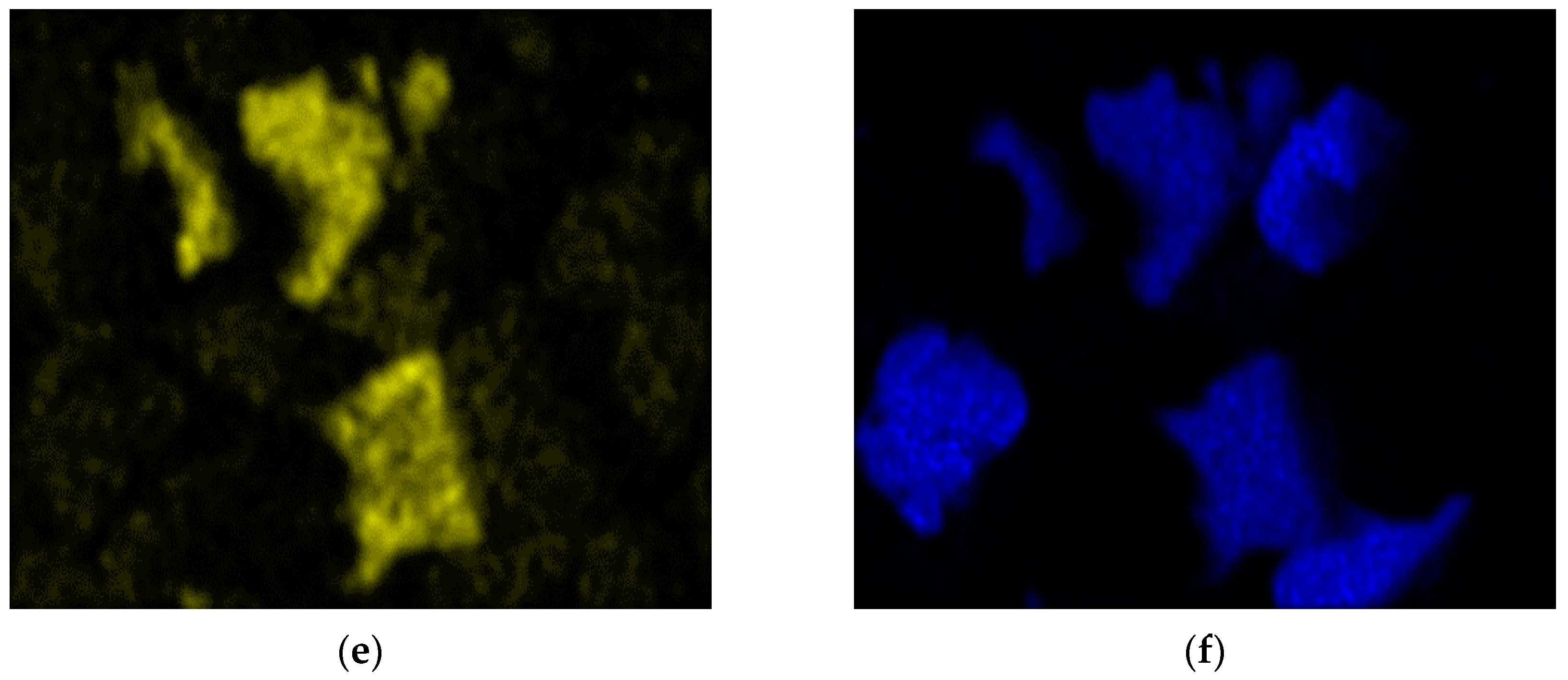 Minerals 13 00397 g010b