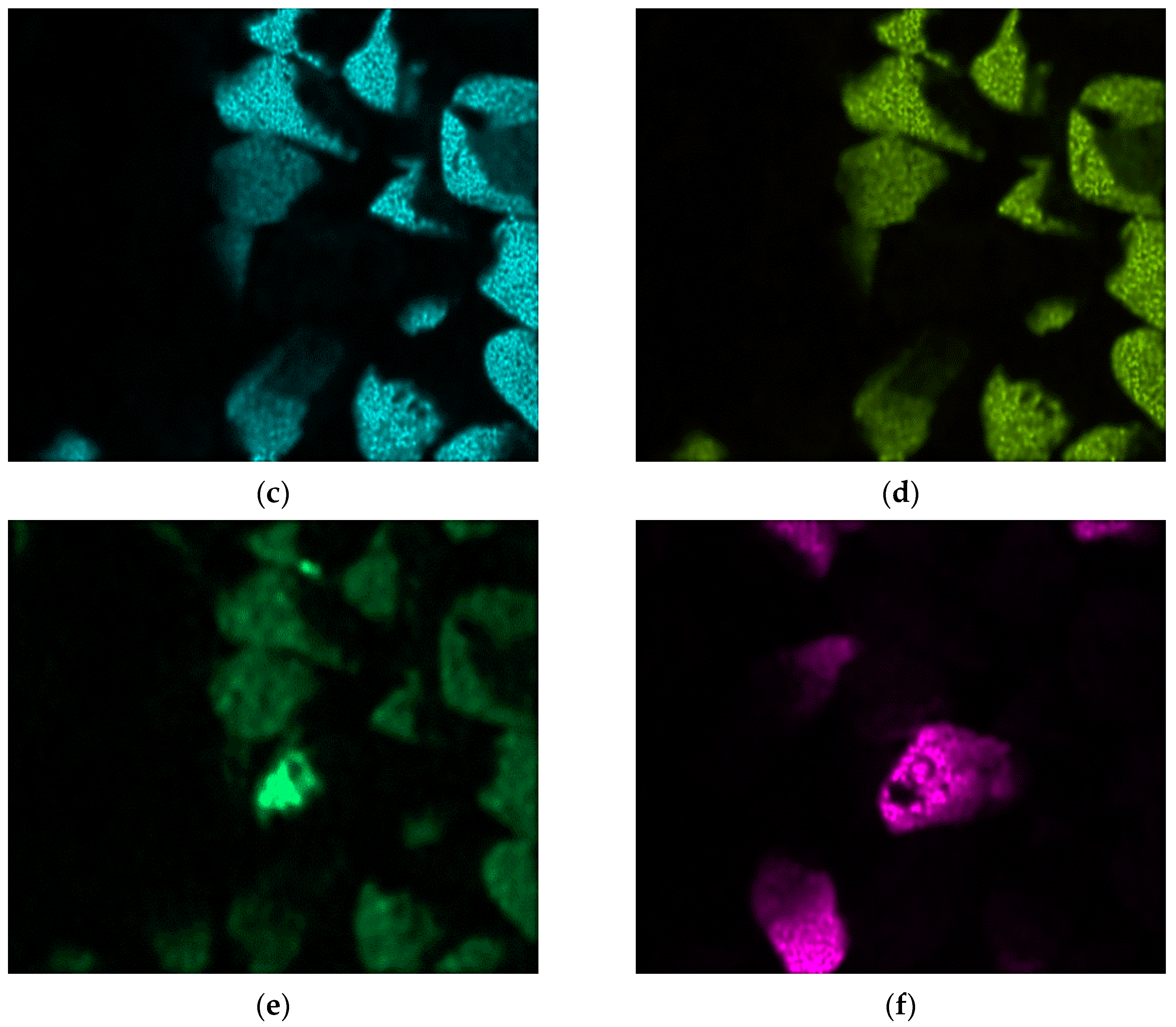Minerals 13 00397 g014b