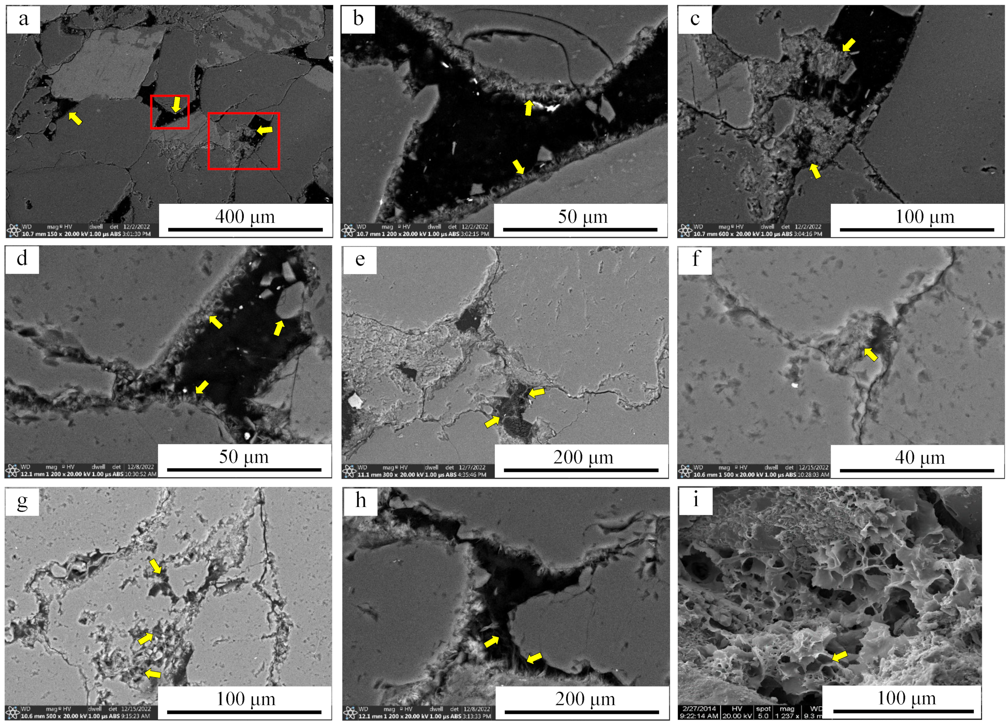 Minerals 13 00404 g009
