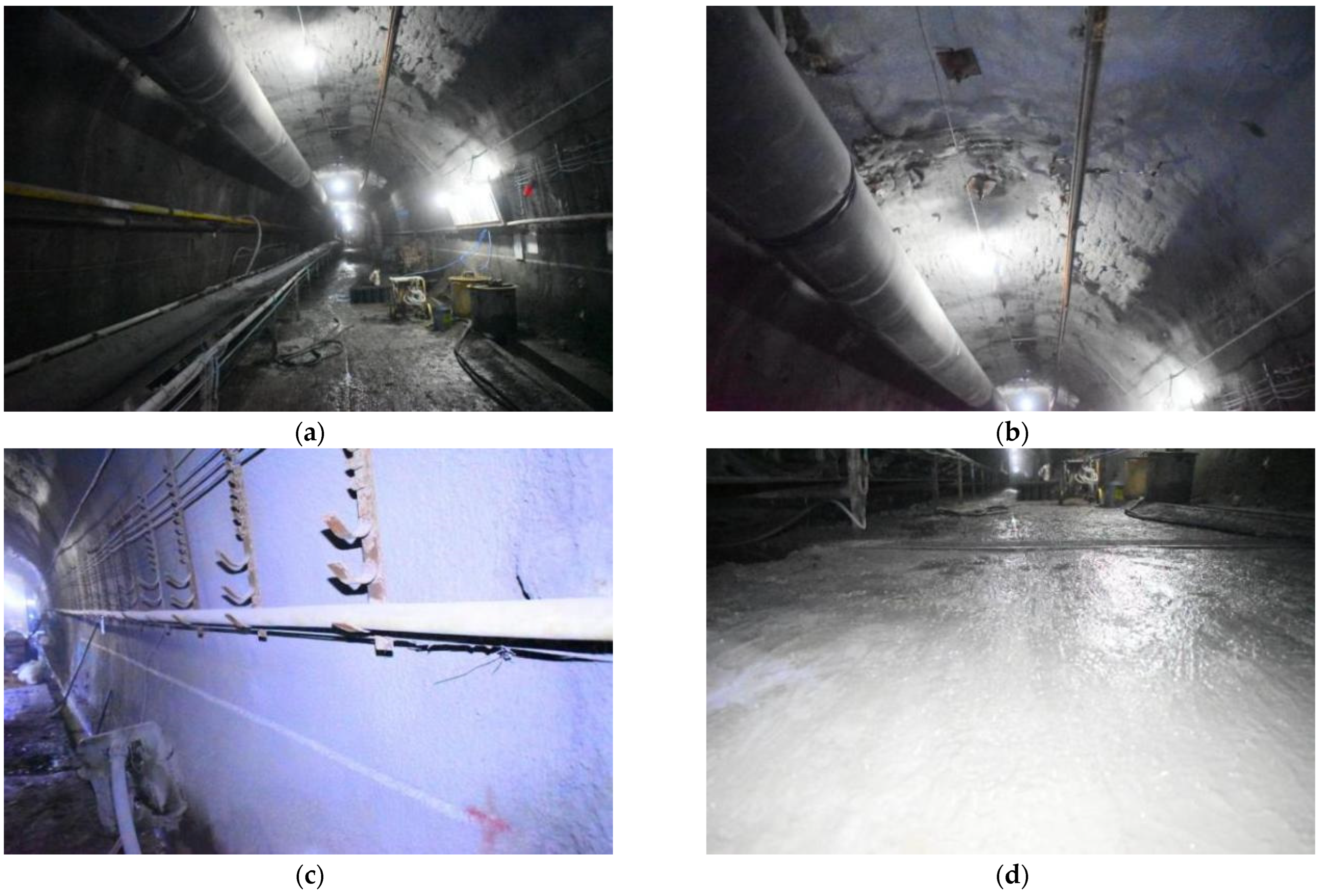 Minerals 13 00409 g021