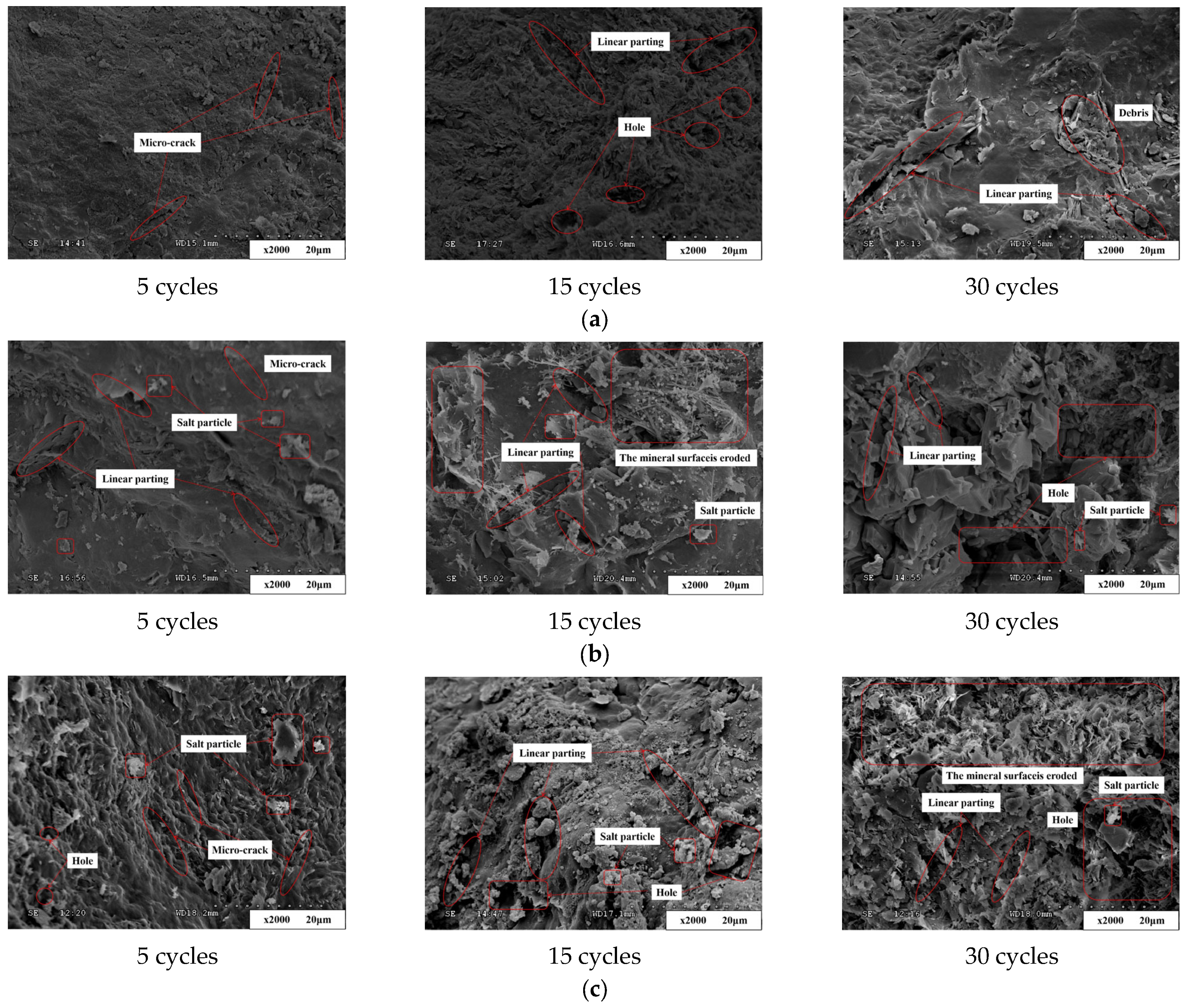 Minerals 13 00430 g016