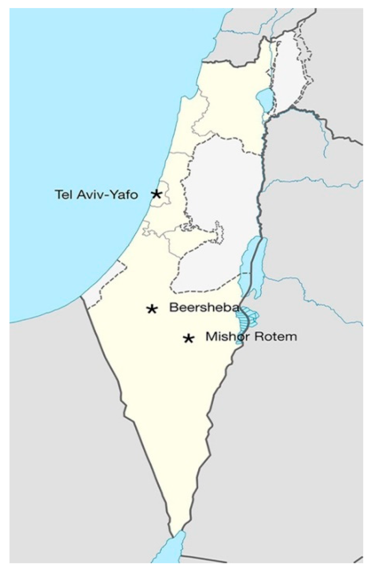 Minerals 13 00455 g001