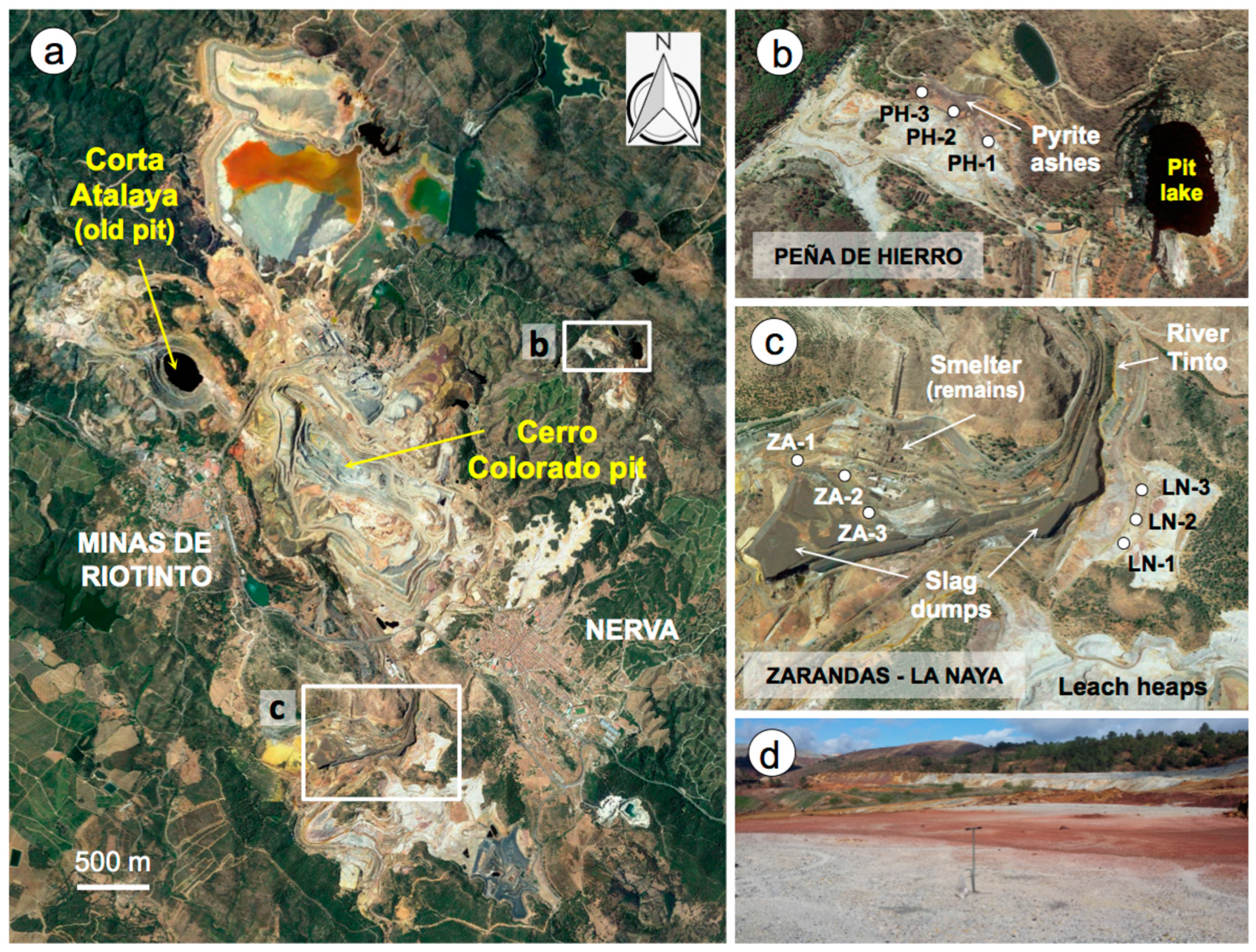 Minerals 13 00456 g002
