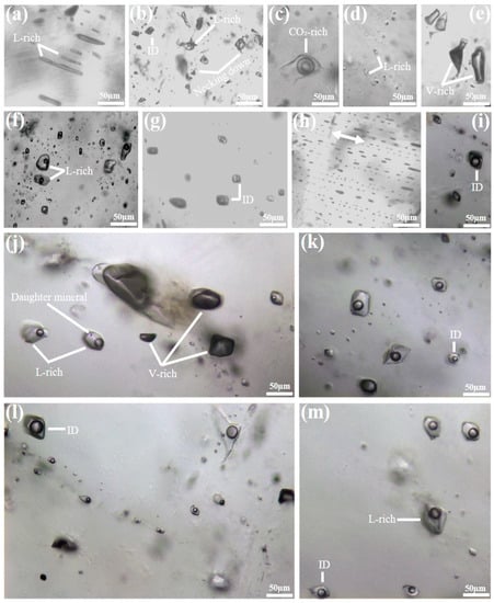 Minerals 13 00458 g011