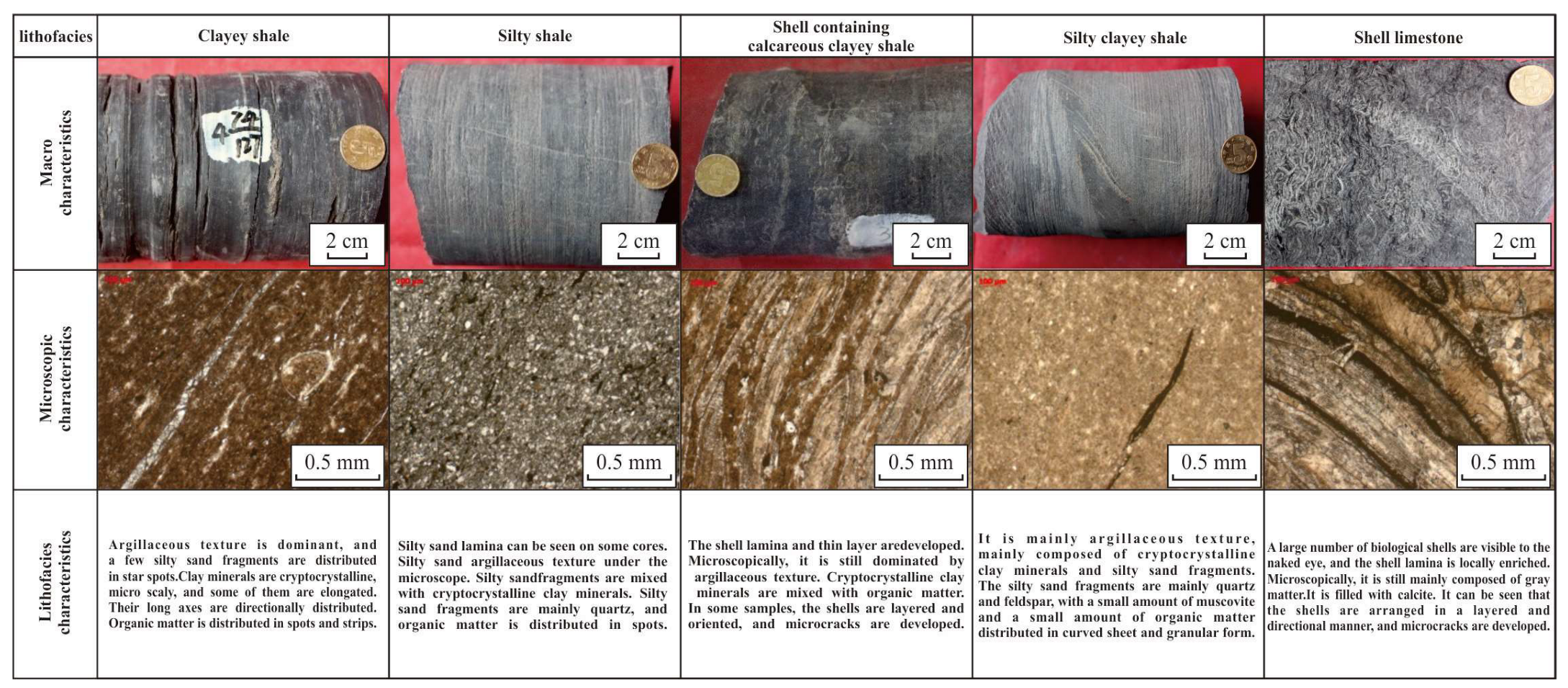Minerals 13 00460 g003