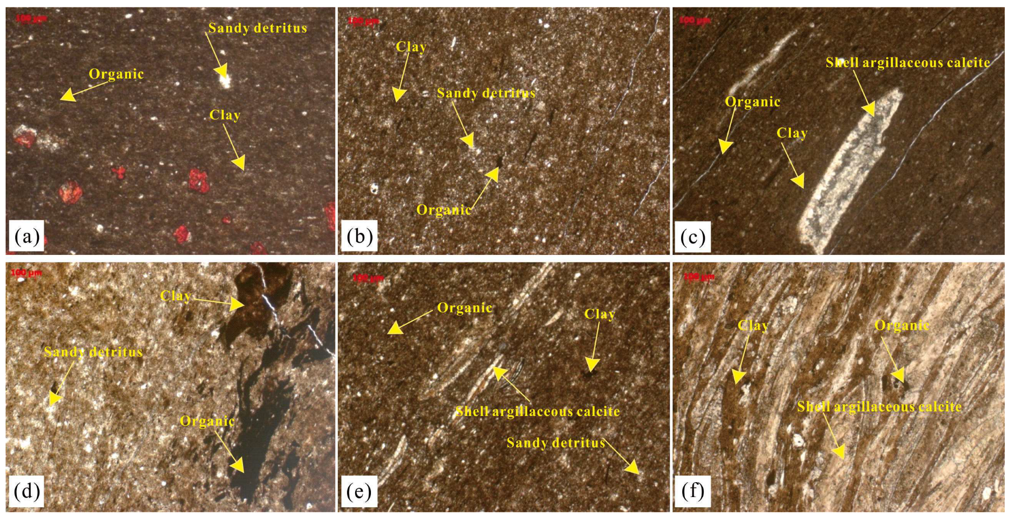 Minerals 13 00460 g004
