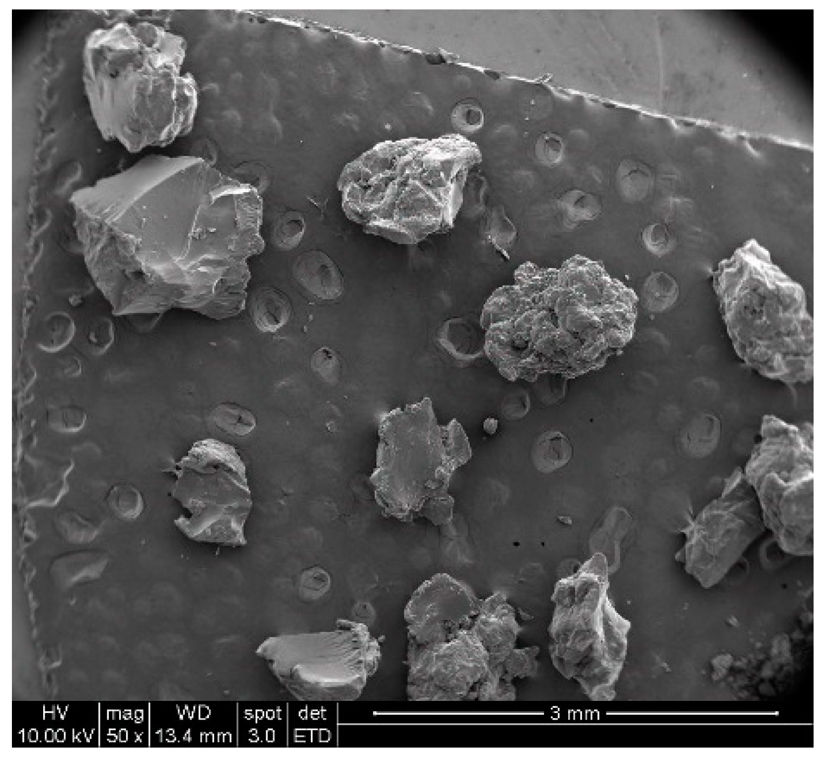 Minerals 13 00475 g003