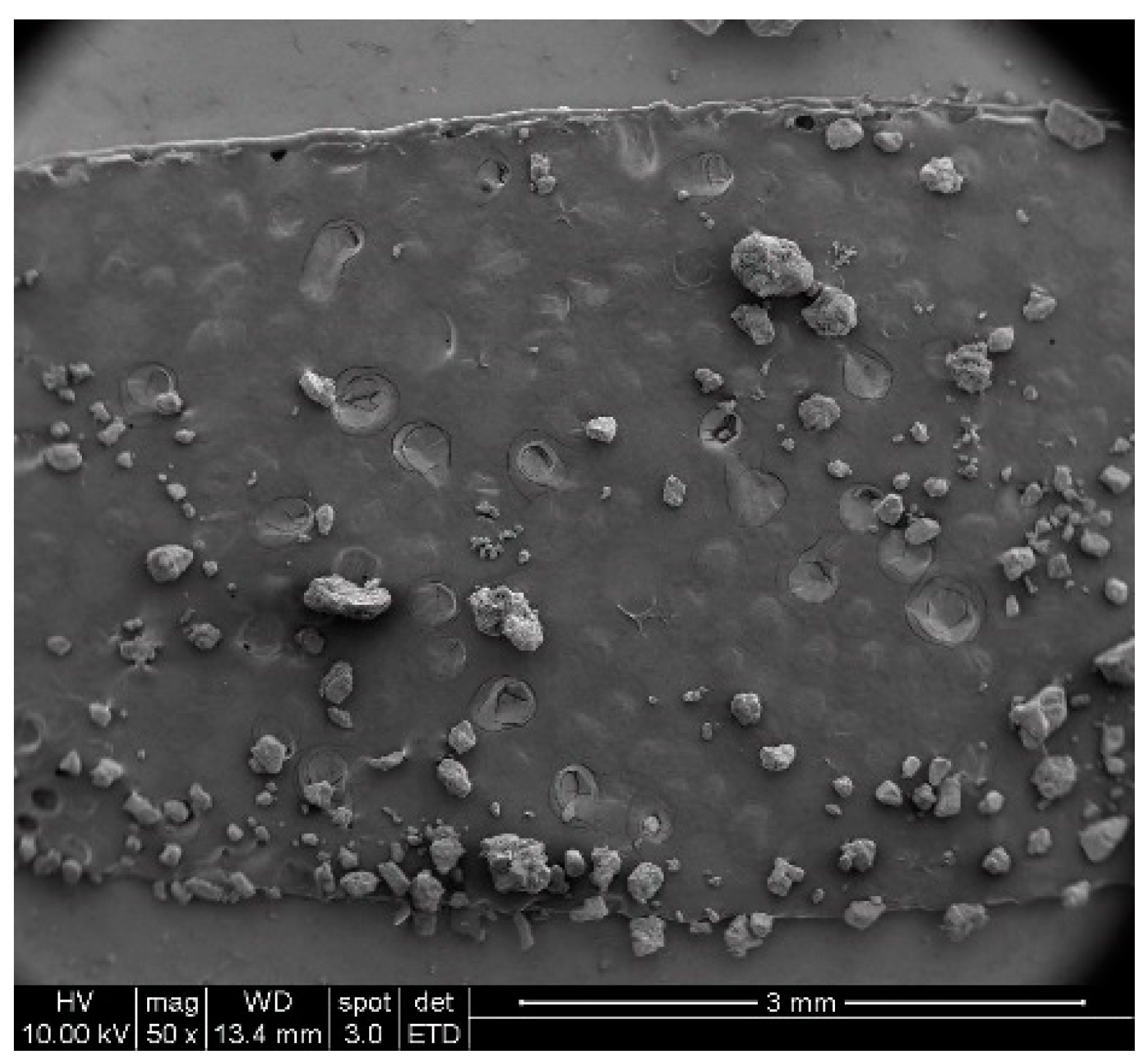 Minerals 13 00475 g004